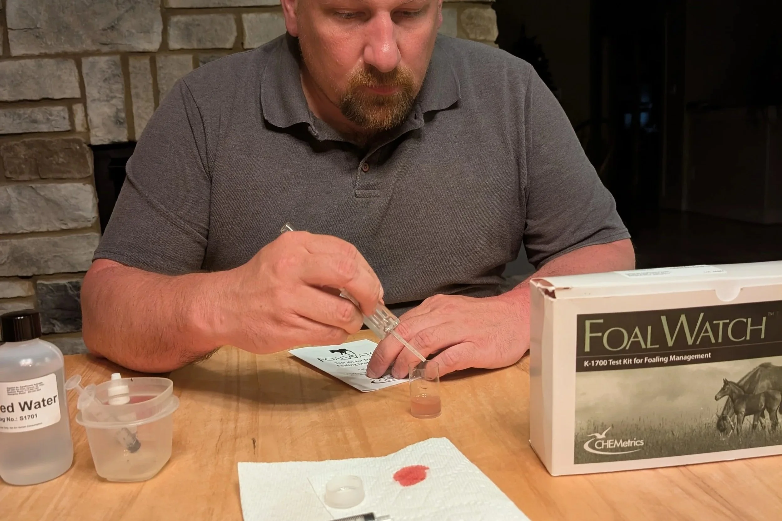 Audi Foal Watch: First Calcium Test Results and What They Mean