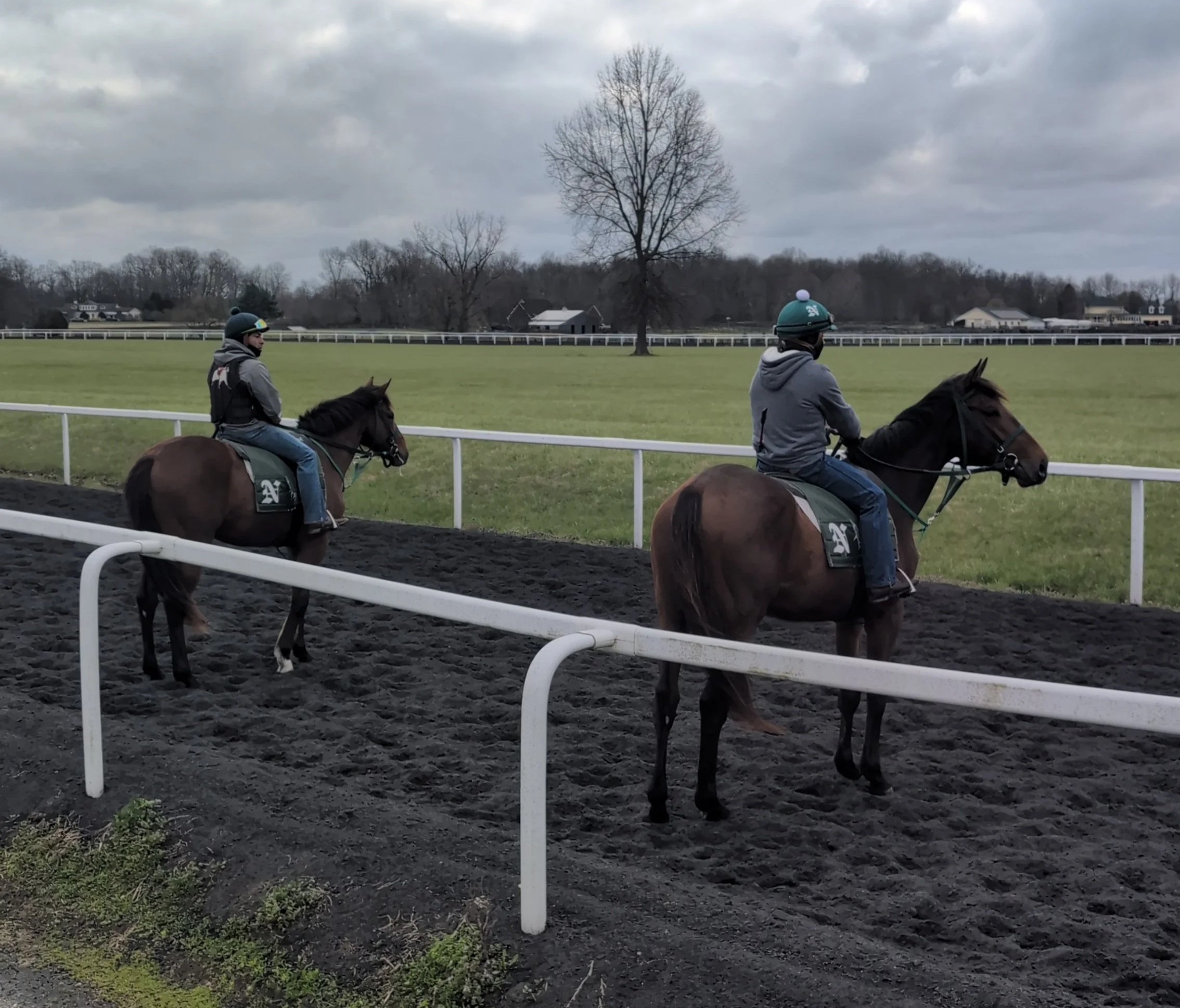 From Training to Turnout: What’s Next for Paycasso & Caesar