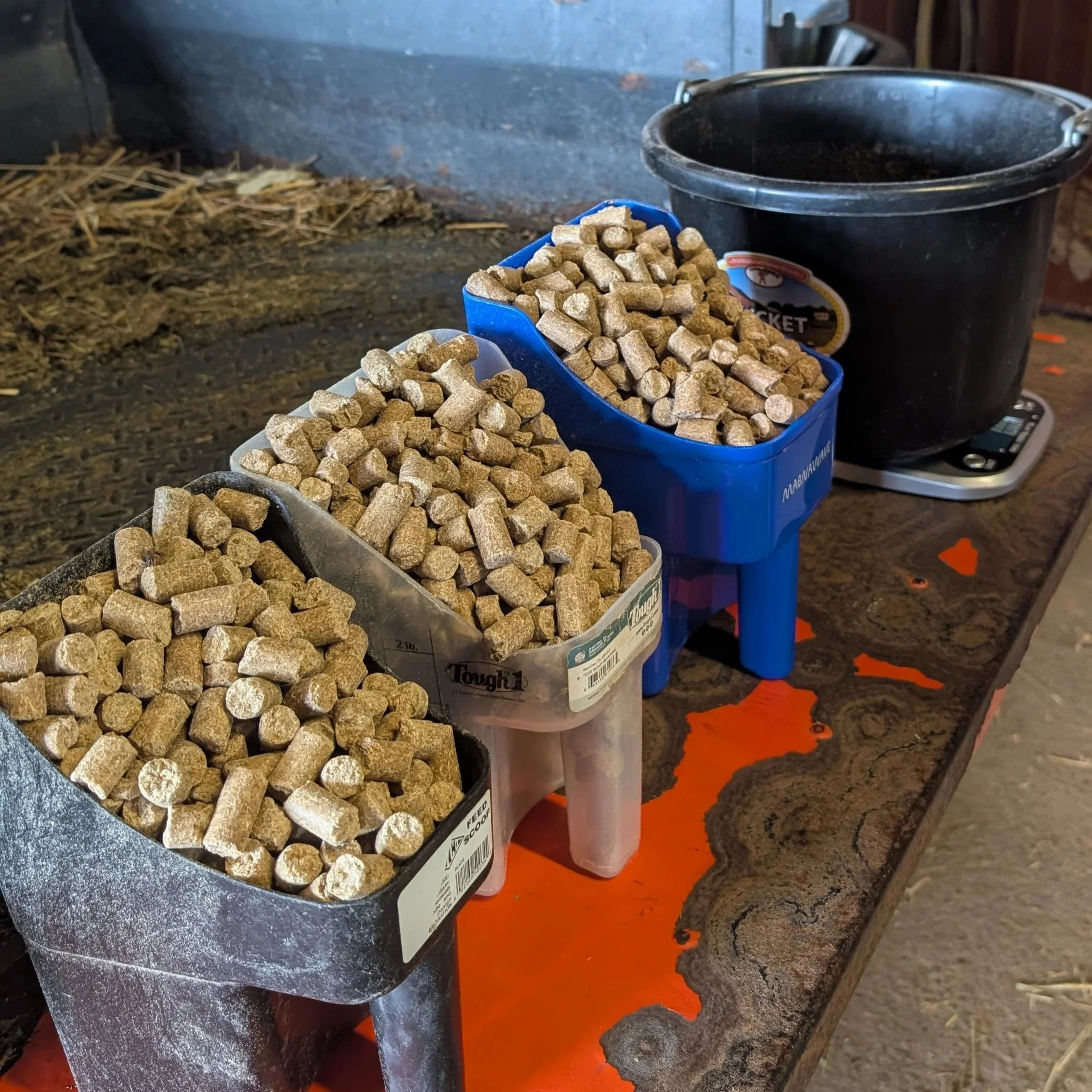 A Grain Scoop Is a Tool, Not a Unit of Measurement