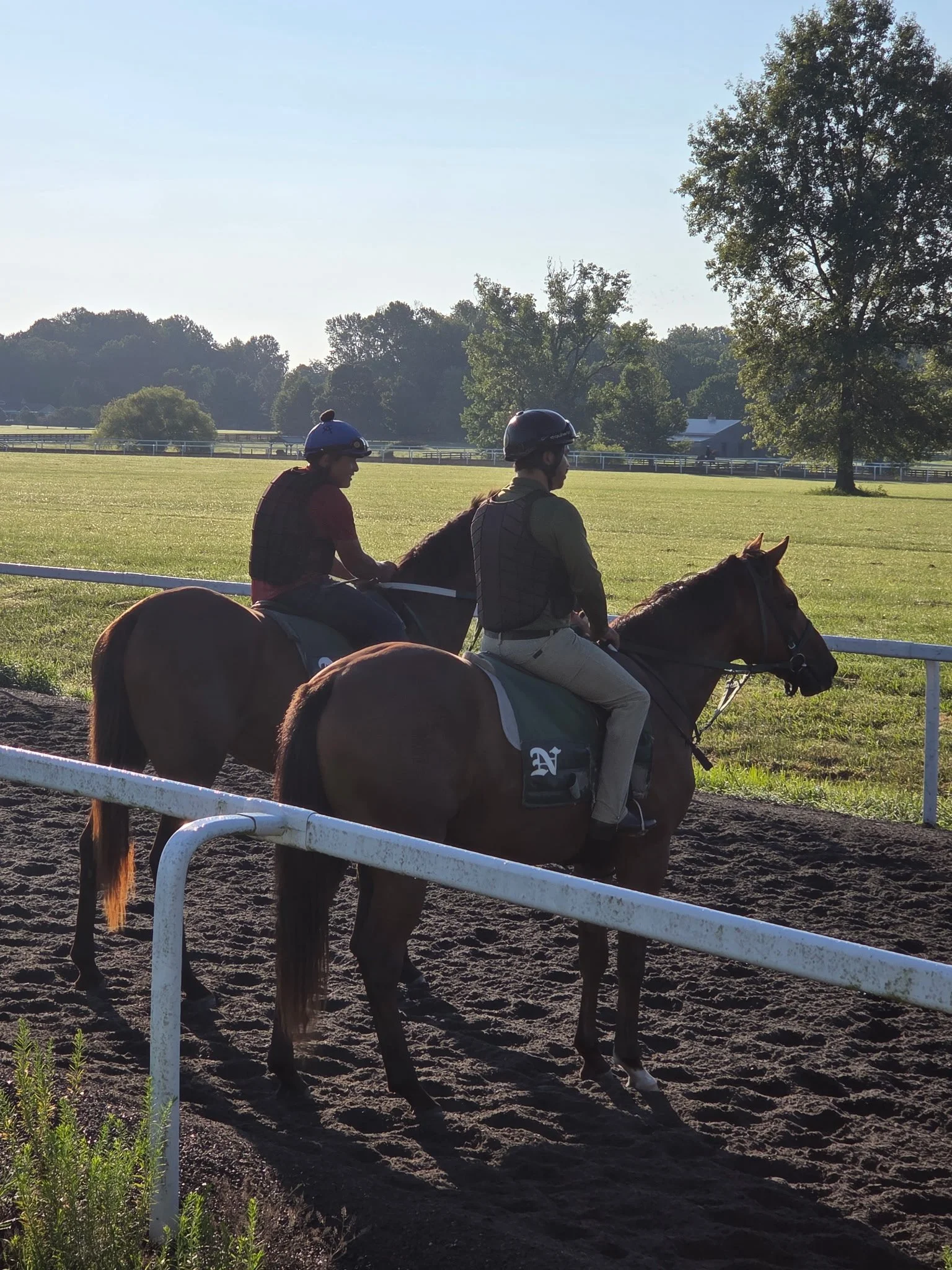 Back at the Track: Paycasso and Caesar Return to Training