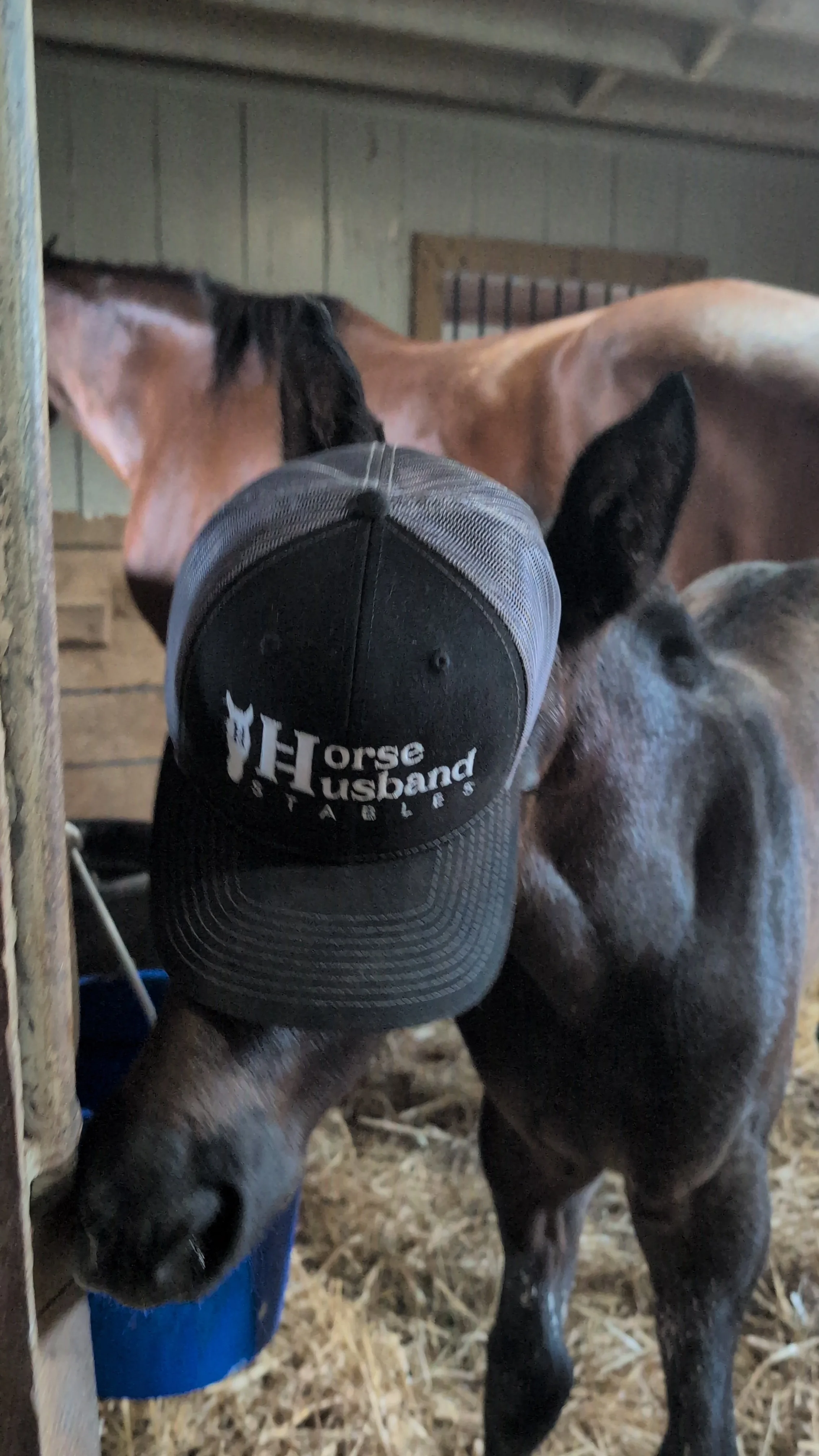Horse Husband Stables Embroidered Trucker Cap