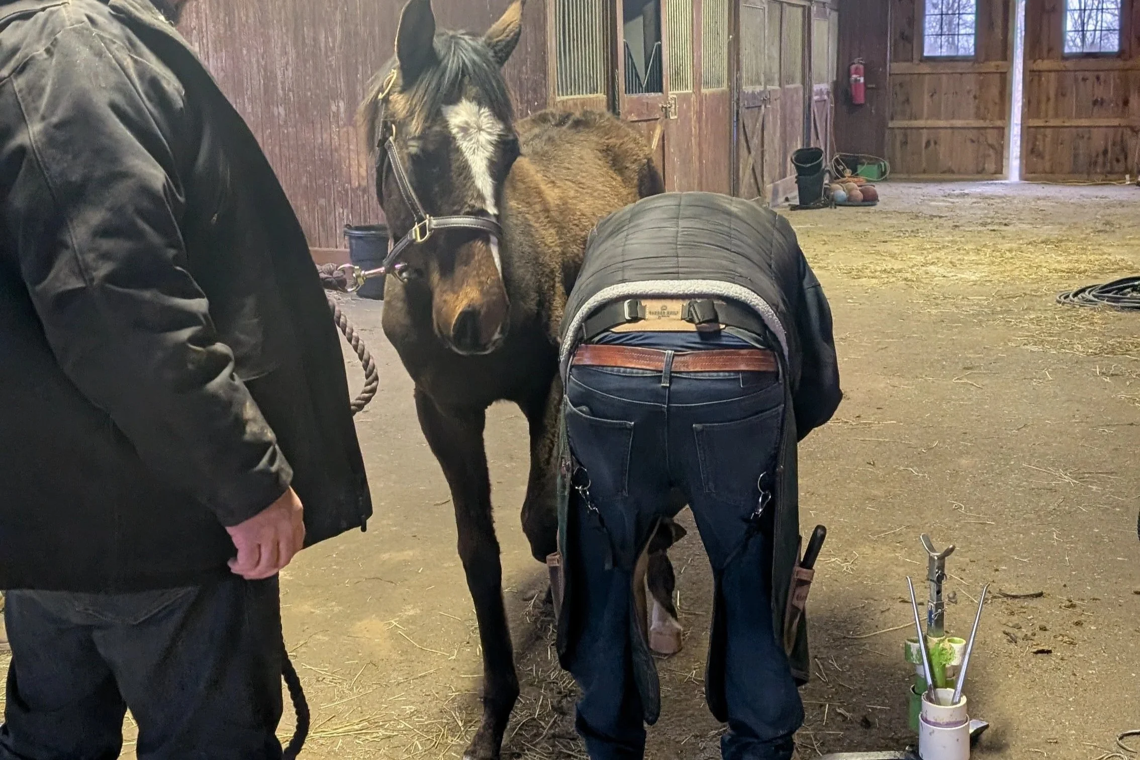 First Farrier Day for Our New Class of 2025 Colt
