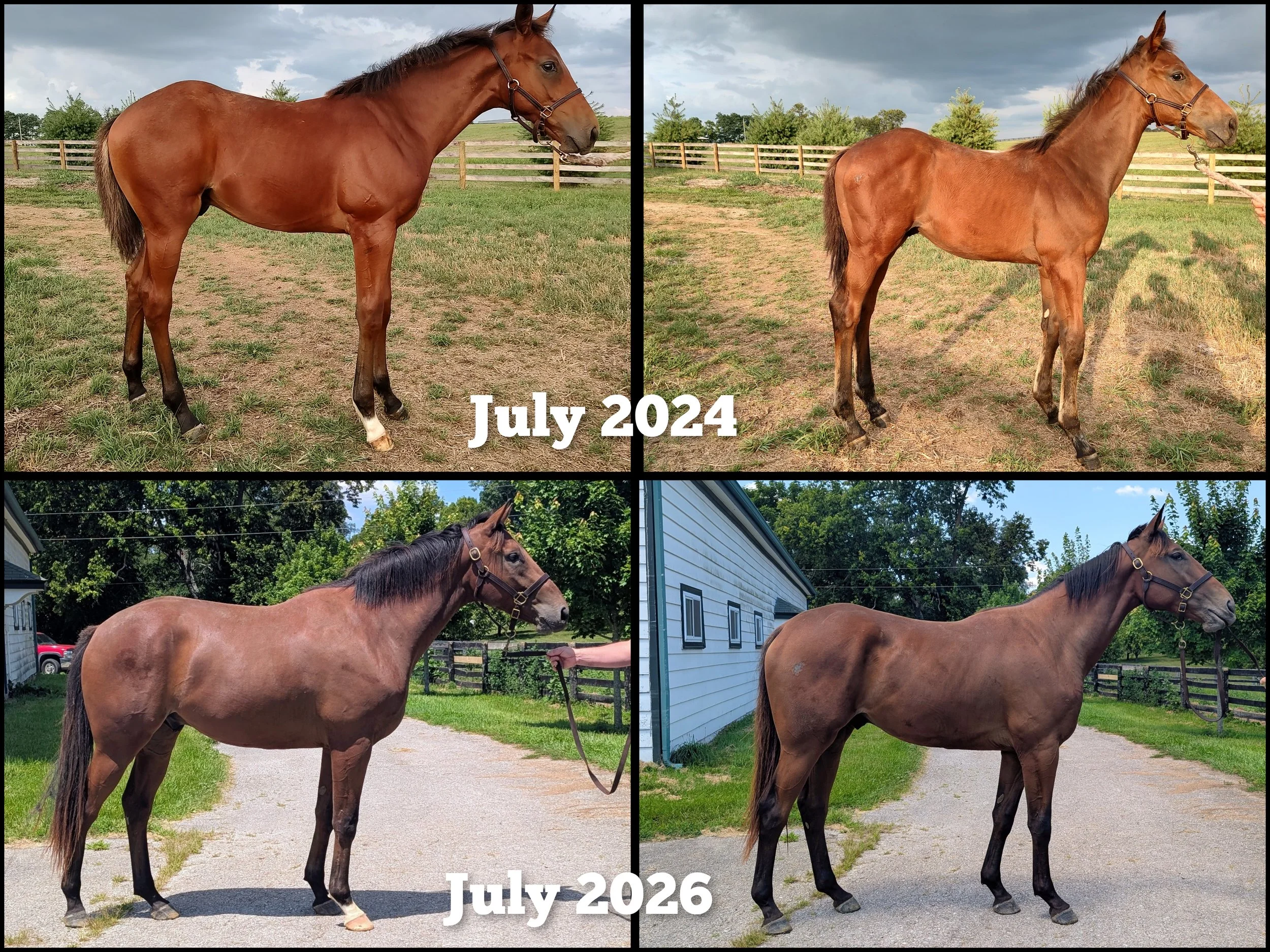 Then and Now: Paycasso and Caesar, Two Years Later