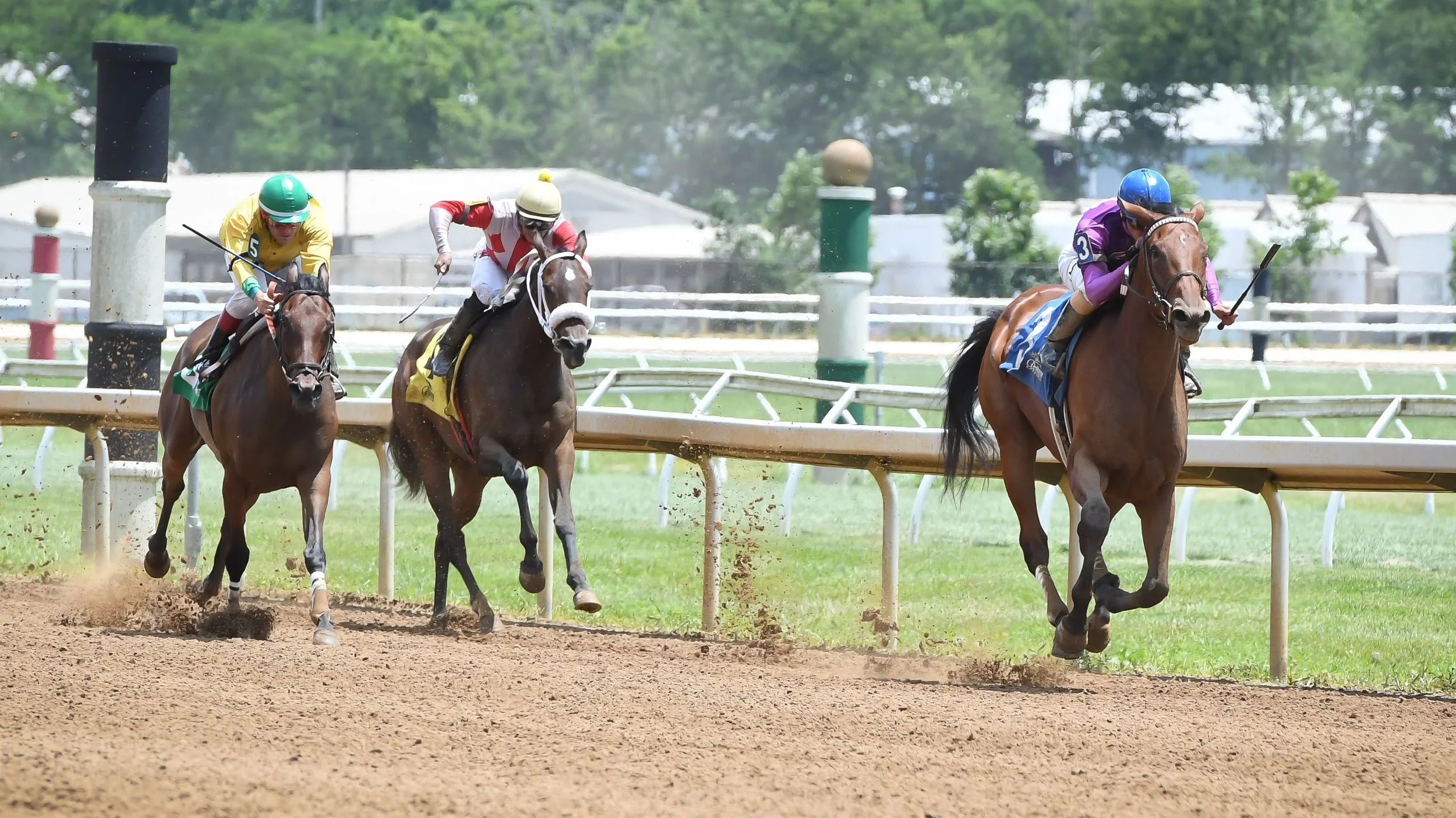 Horse Racing Profits Revealed