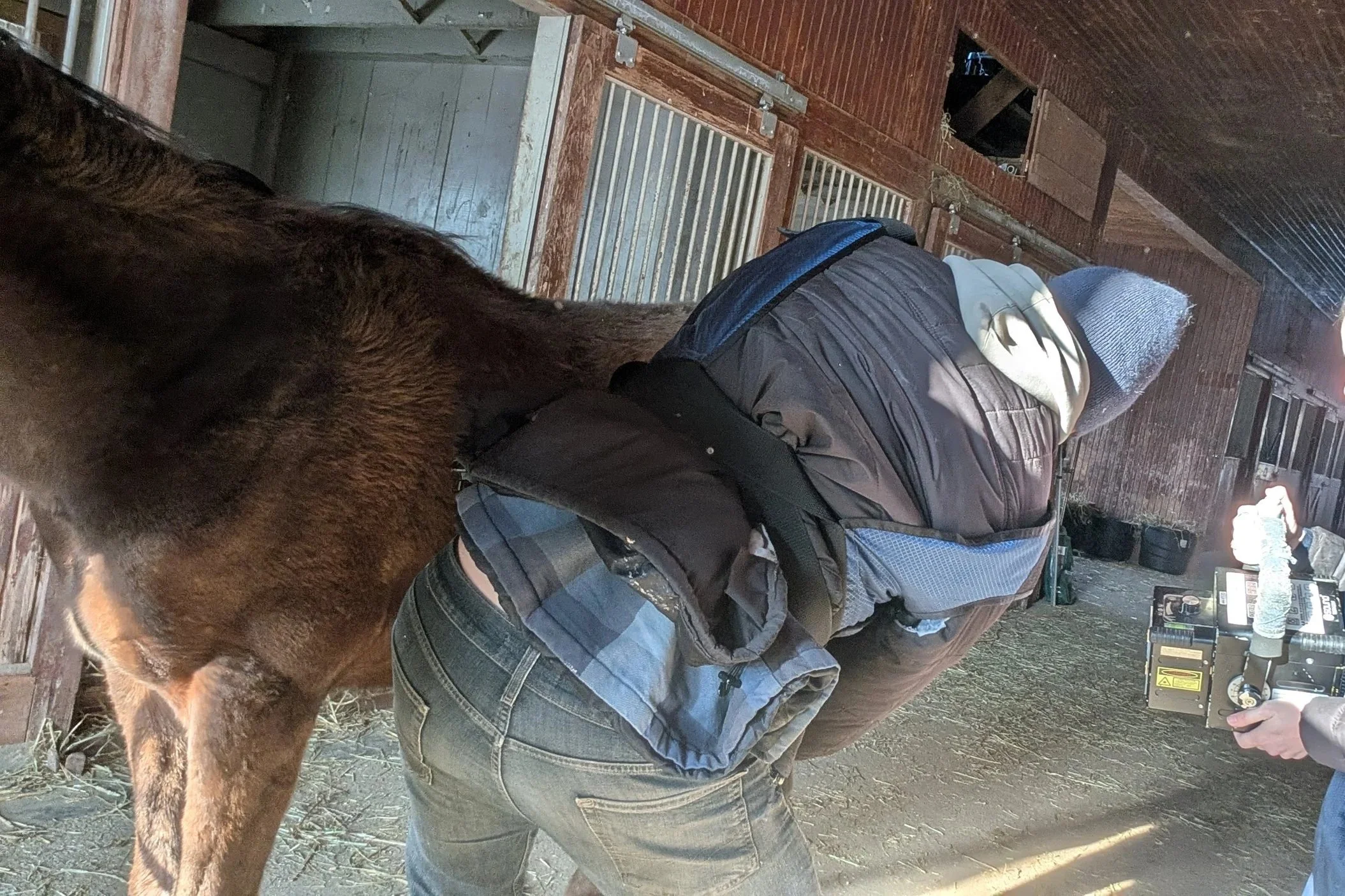 Country Karma Veterinary Update: Monitoring the Left Stifle