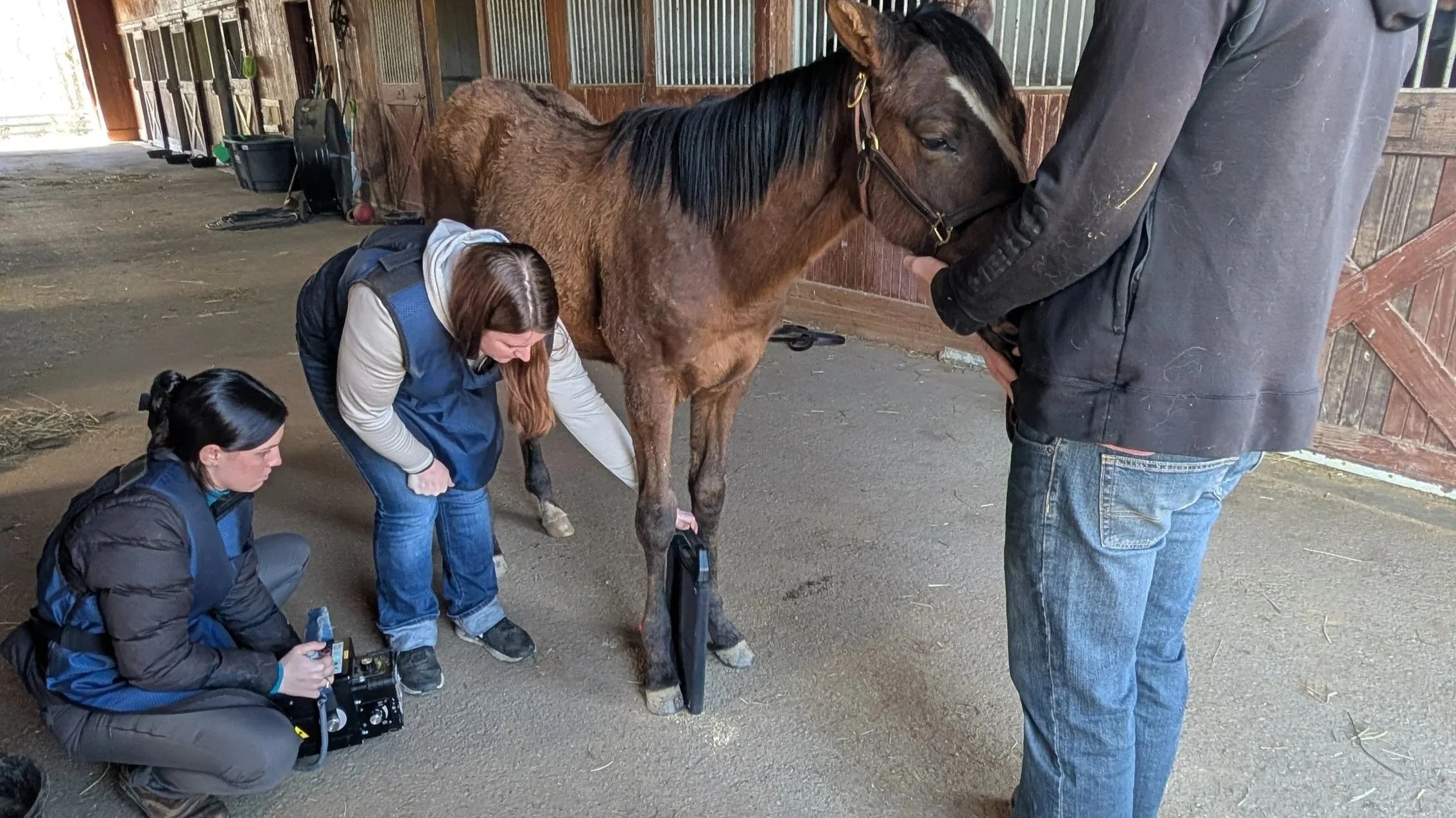 Class of 2025 X-Ray Review: Interpreting the Findings and Our Plan Moving Forward