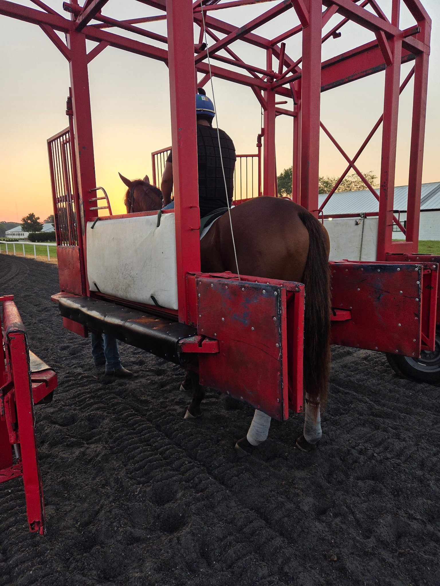 Big Step for Paycasso and Caesar - Introduction to the Starting Gate
