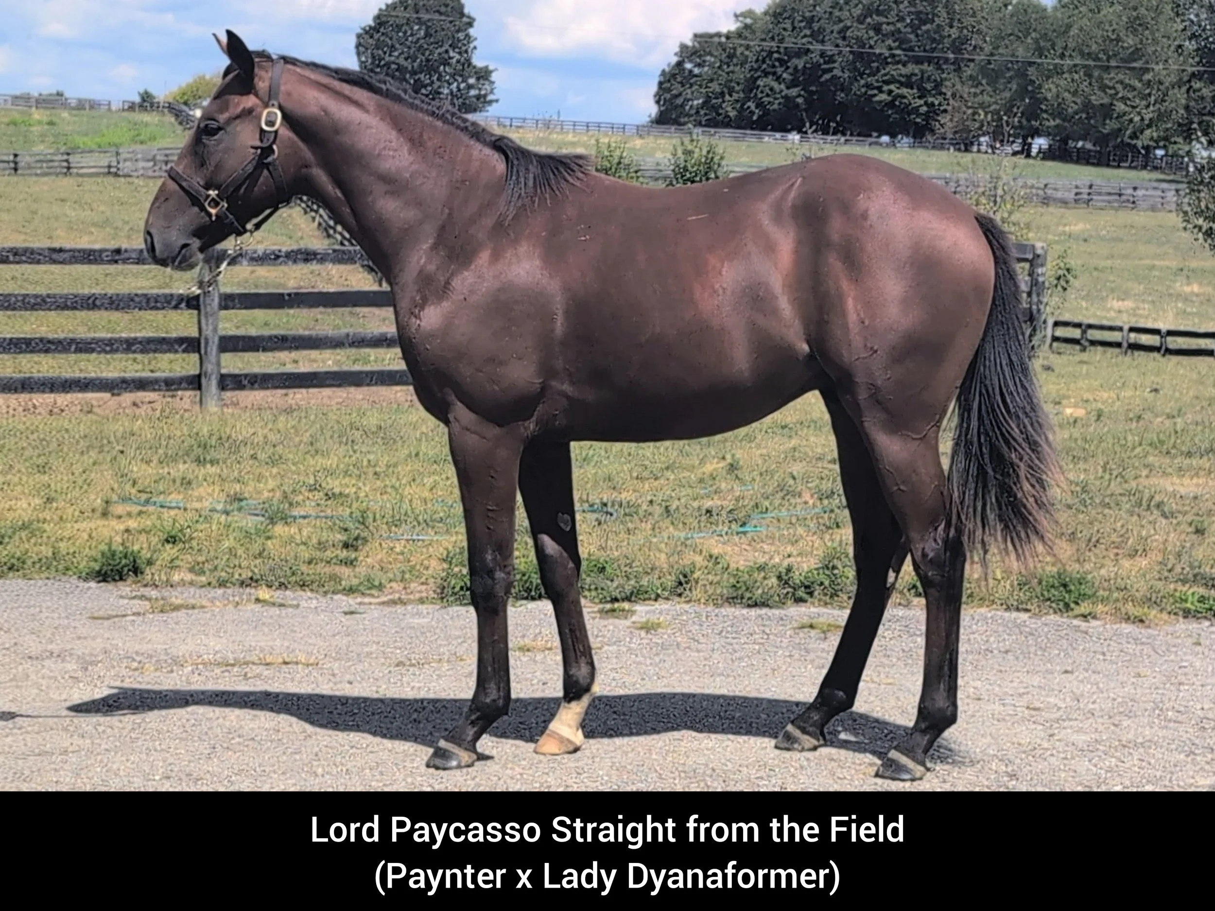 Meet the Class of 2024: Paycasso and Caesar