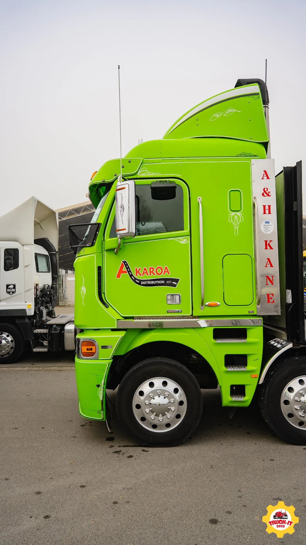 AR504080.jpg