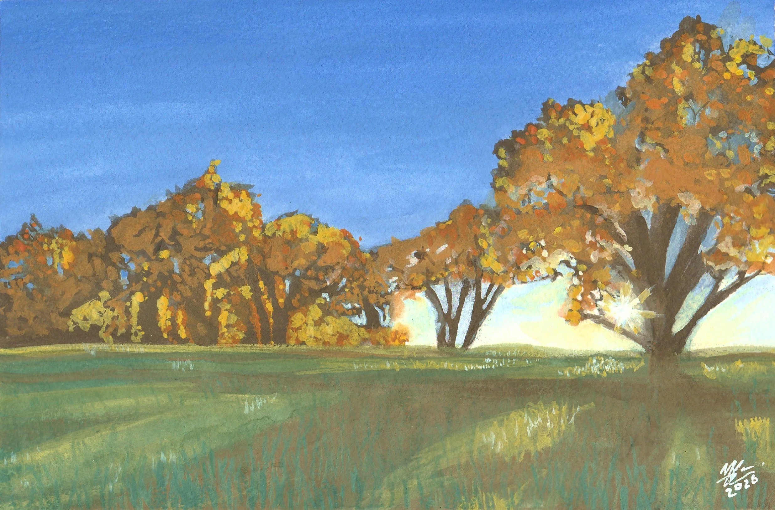 Autumn Treeline.jpg