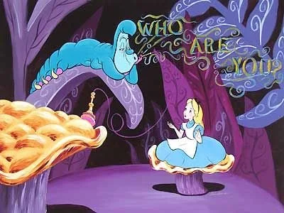 Who are WE??