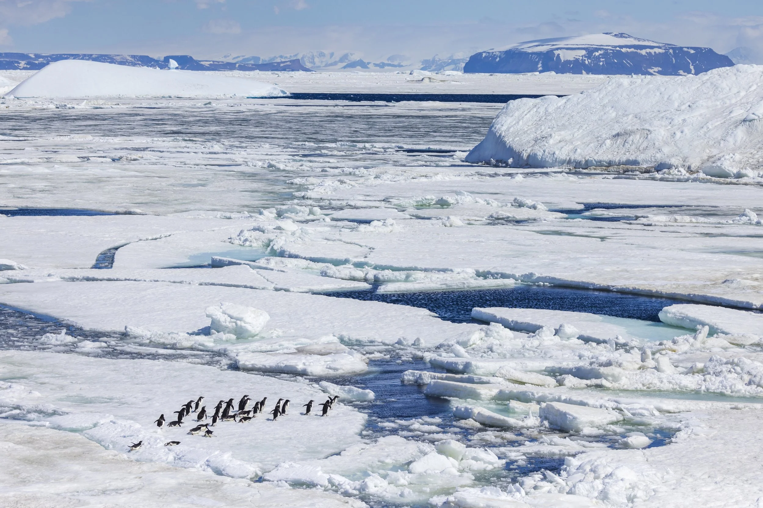 How to Find the Best Antarctica Cruise Operators