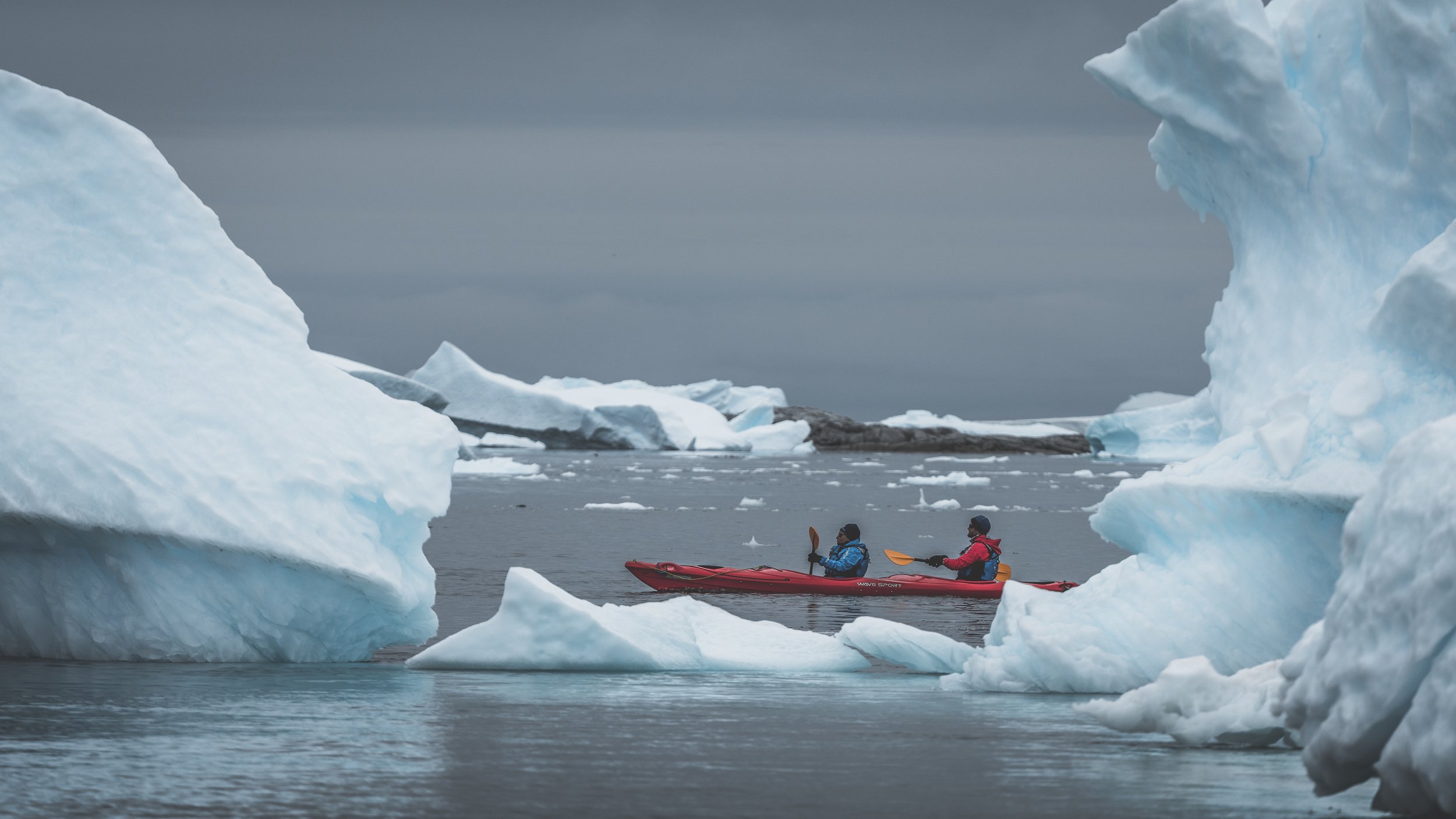 What’s Included in an Antarctic Expedition Cruise Fare? | Terra Nova Expeditions