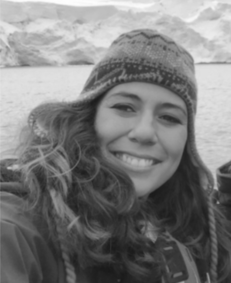 Dr Sara Torres Ortiz