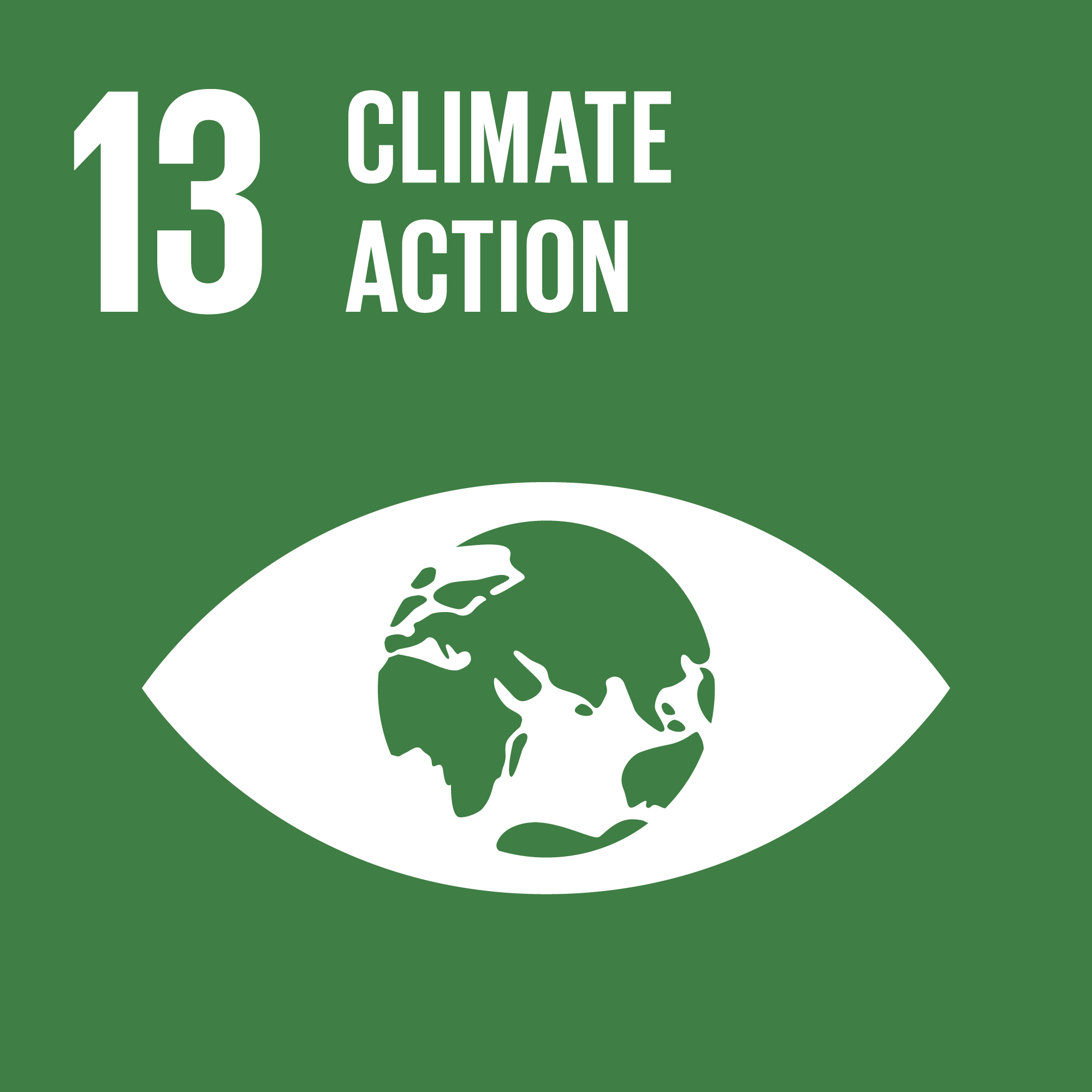 SDG 13 Climate Action environmental sustainability icon with a globe inside an eye shape and green background.