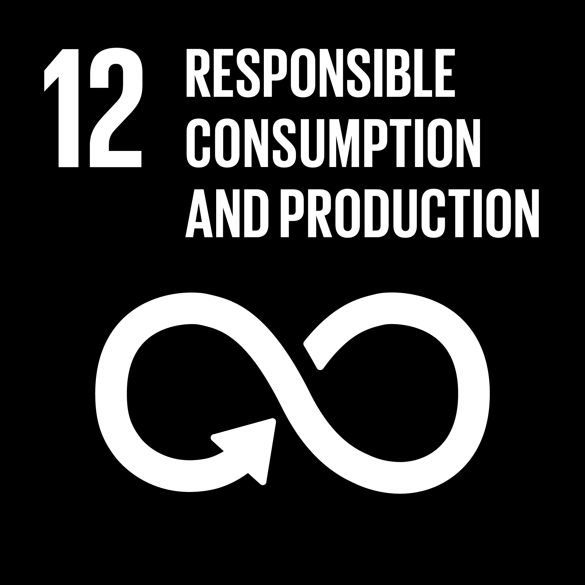 United Nations Sustainable Development Goal 12 symbol with the number 12, the words "Responsible Consumption and Production," and an infinity loop arrow symbol on a black background.
