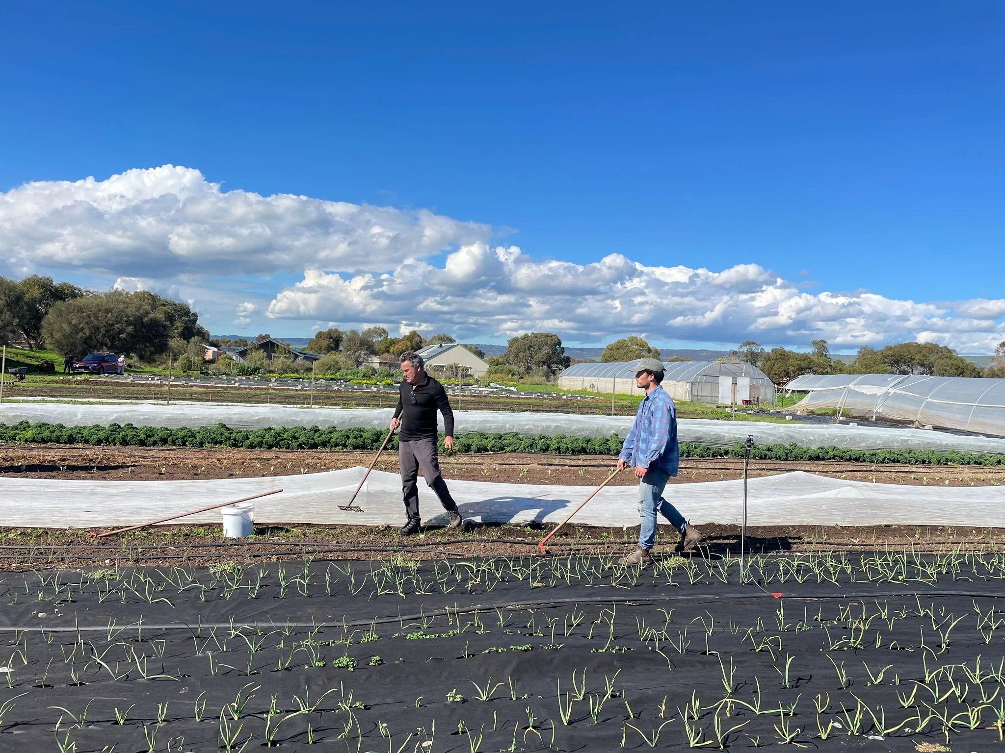 72267972-766f-4122-8fe4-e0dcc0fe5d98 3.JPG