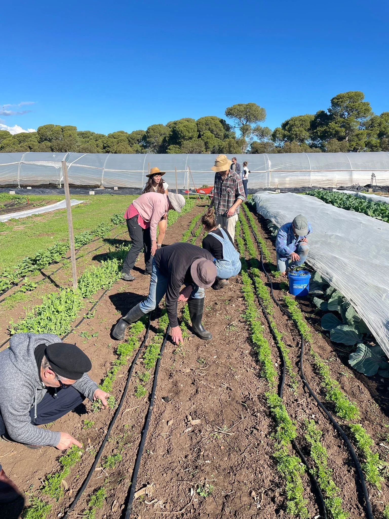 c25eddf7-b8a8-43d4-8dd1-568943313a56 4.JPG