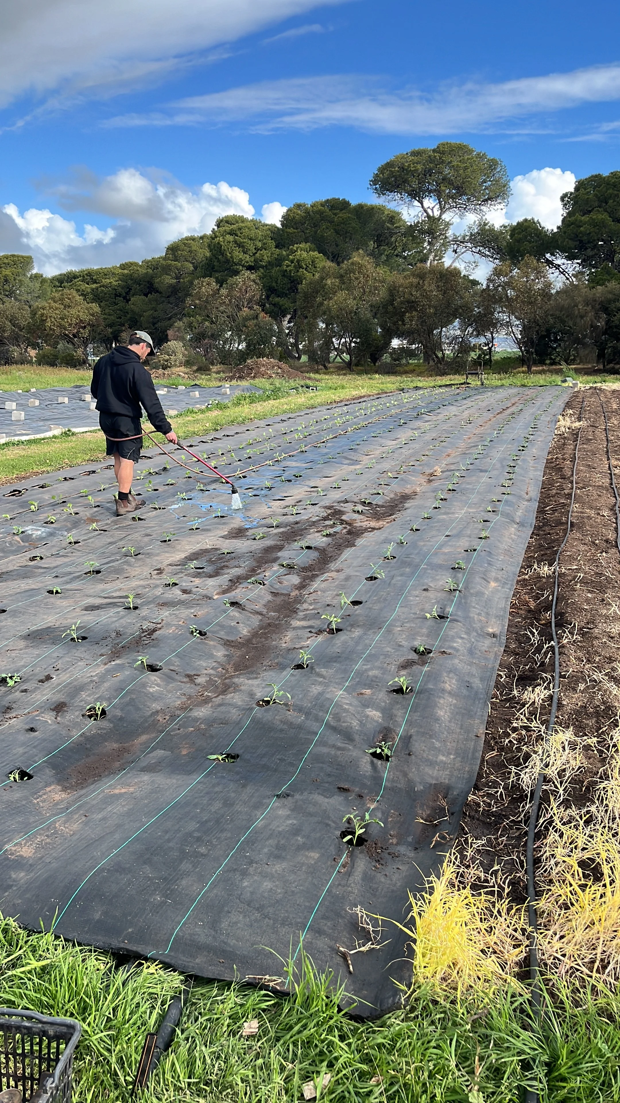 DA4619AB-B81F-459F-AF5B-F8ED0207F369 2.JPG