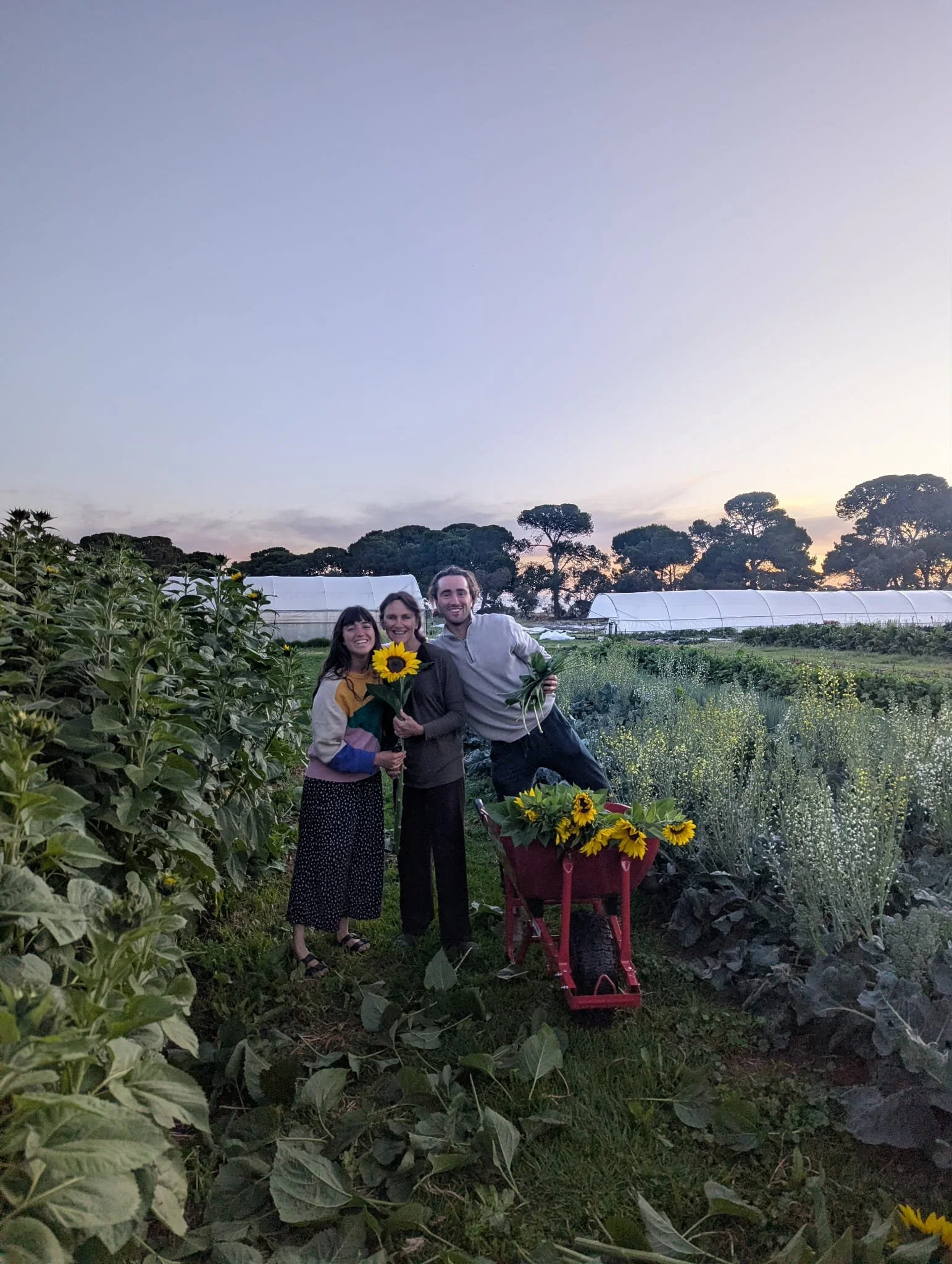 att.p8GlHuchWwiW_GlztDiTyIzv5AYzmjWUnsGYgKj5alA 2.JPG