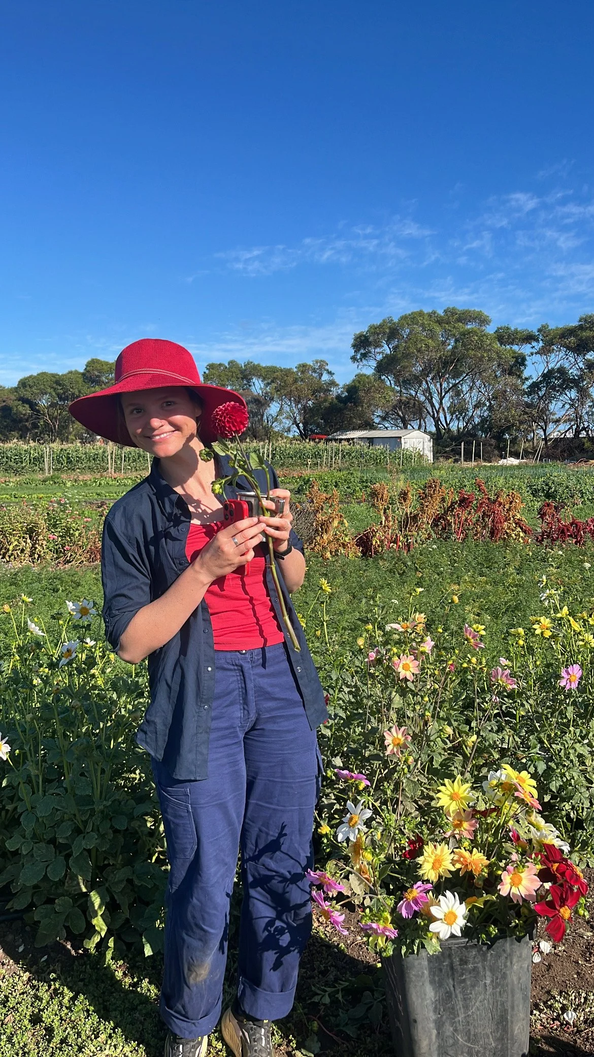 82327E73-2E0F-4981-ACAA-73B17BEDB454 2.JPG