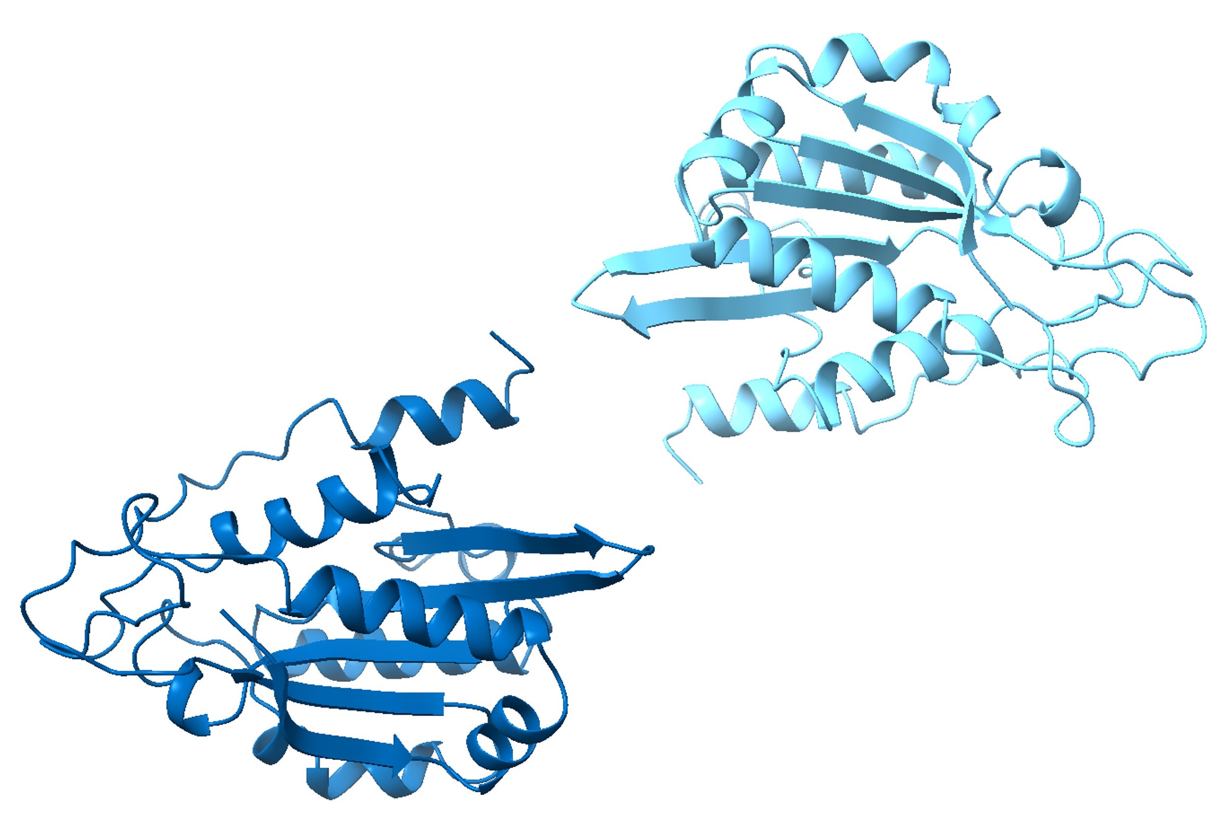 Protein Expression and Purification