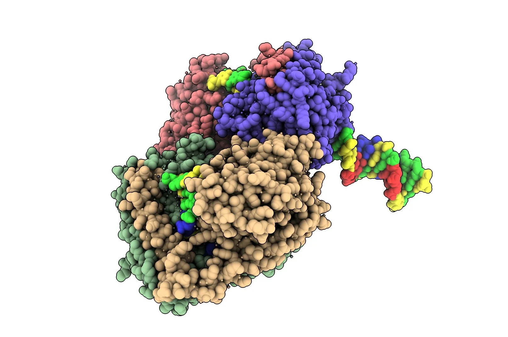 Protein Expression and Purification