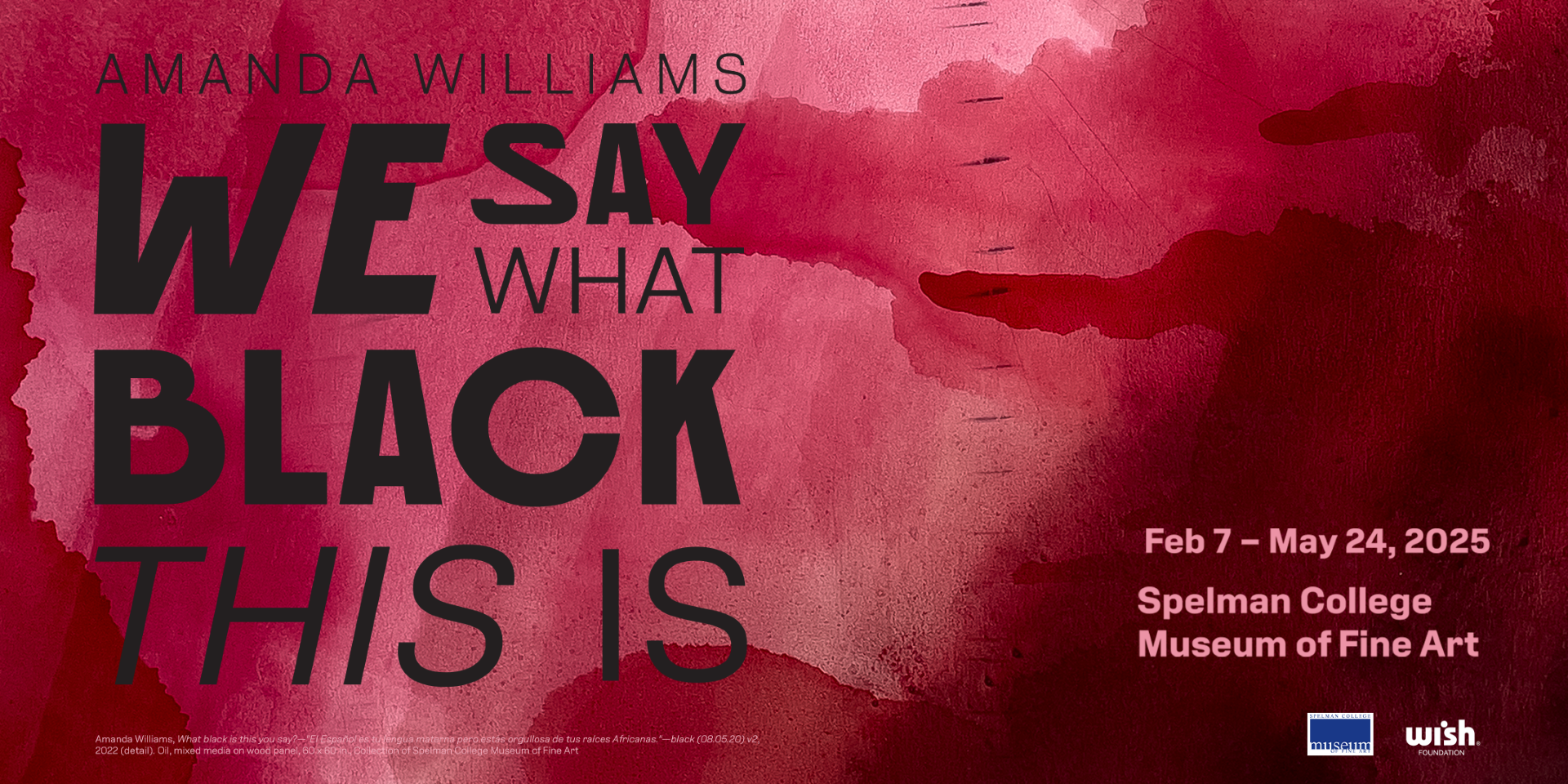 Amanda Williams: We Say What Black This Is