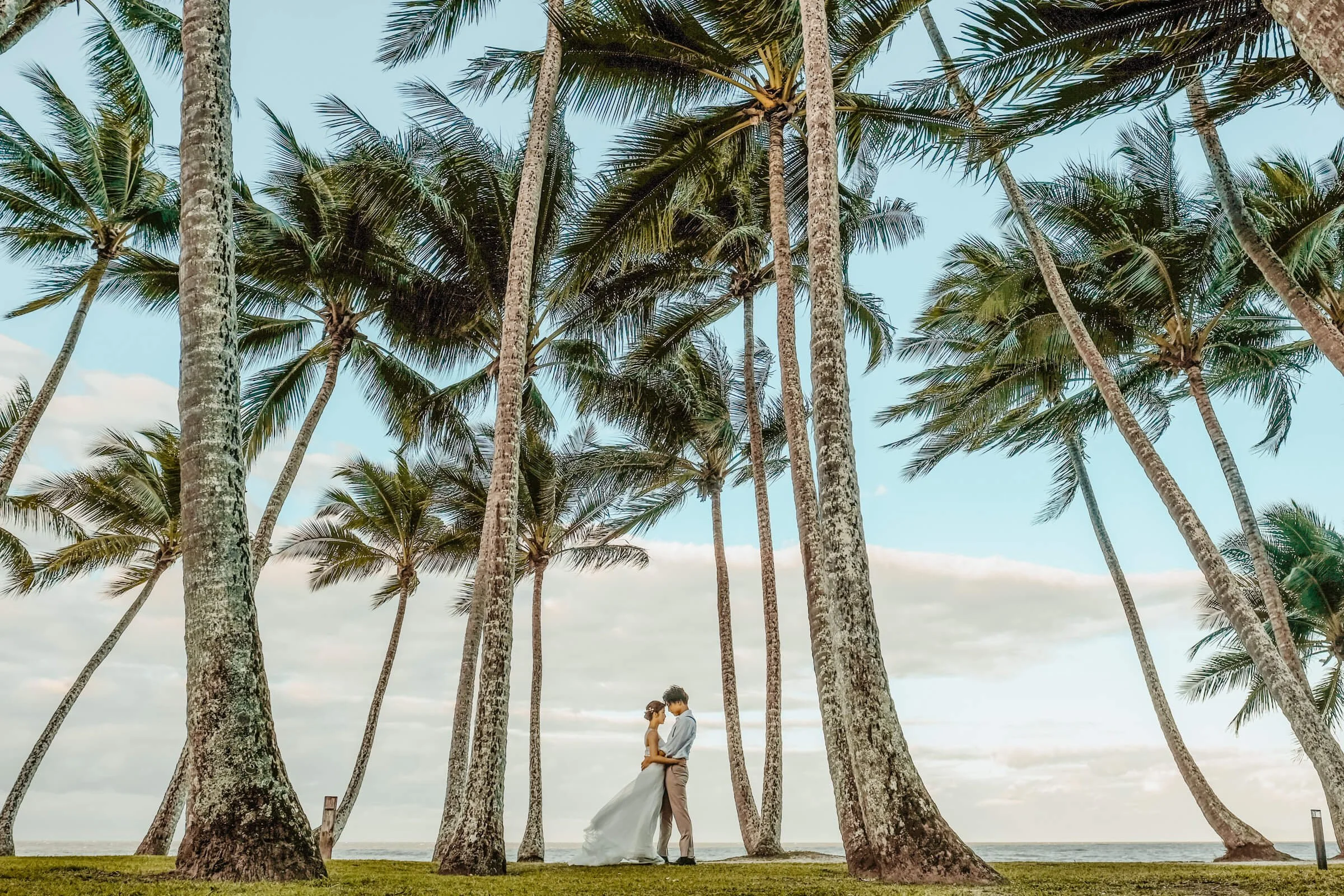 palm-cove-beach-wedding-tall-palm-trees-couple.jpg