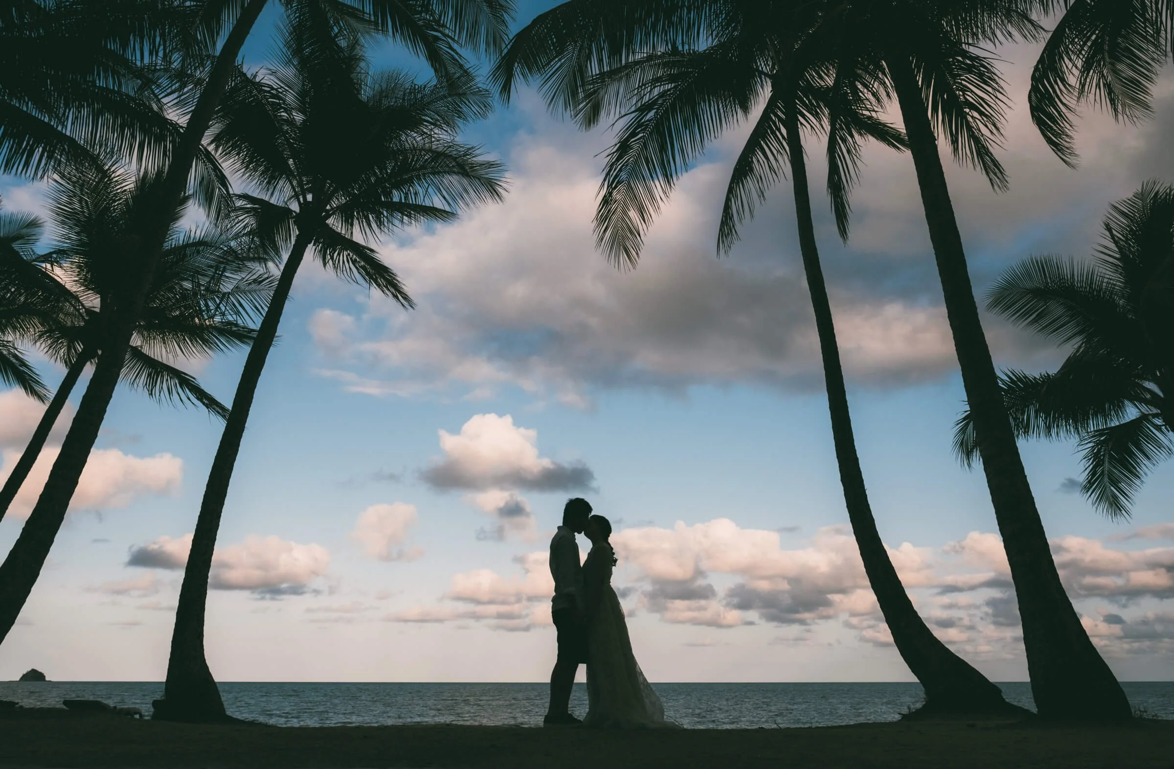 palm-cove-beach-wedding-silhouette-cloudy-sky.jpg