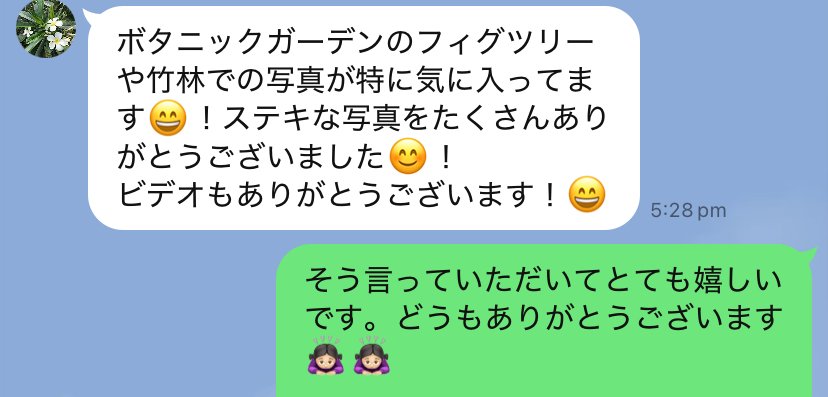 ケアンズ新婚旅行
