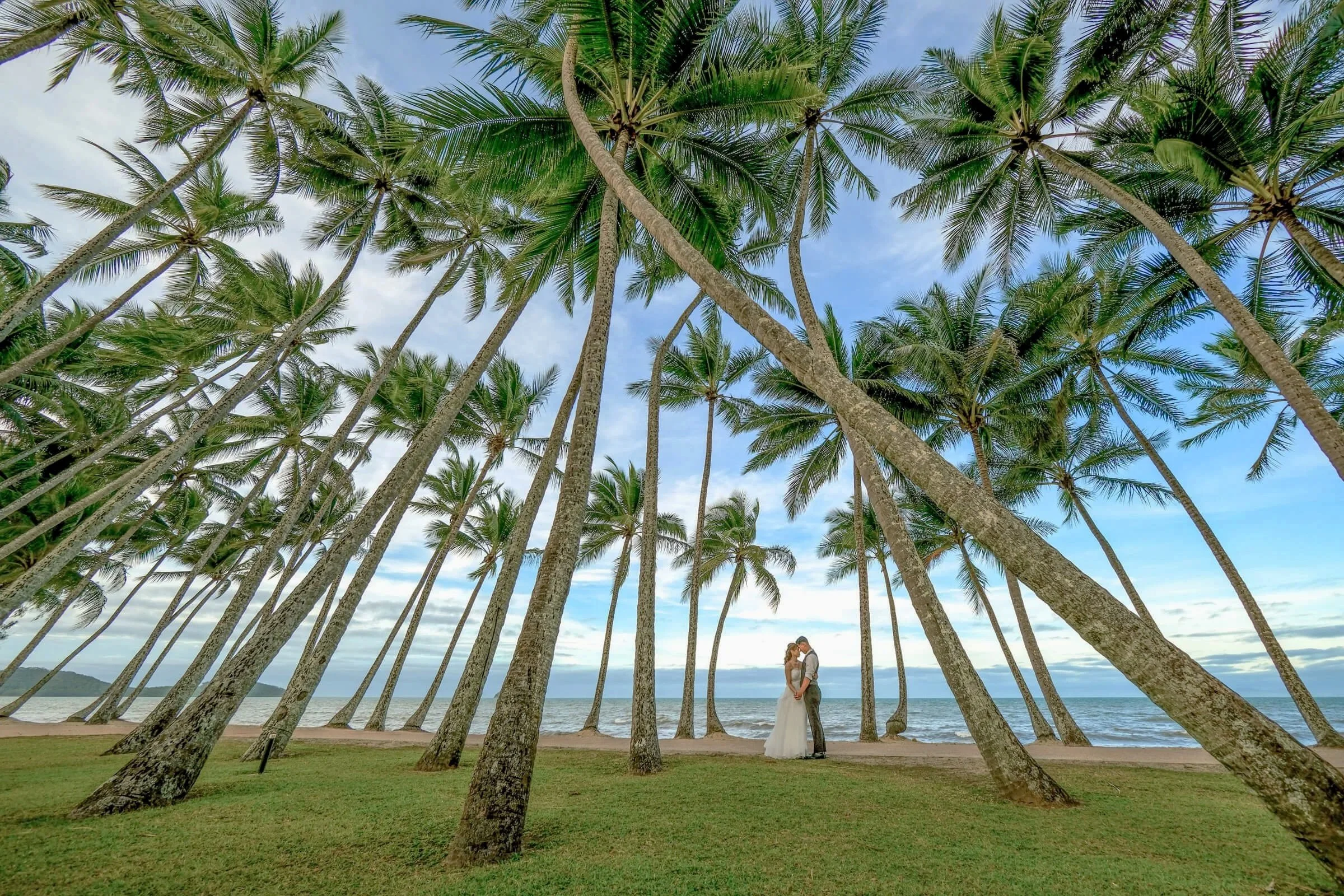 palm-cove-wedding-photo-palm-tree-grove-beachfront-tropical-destination.jpg
