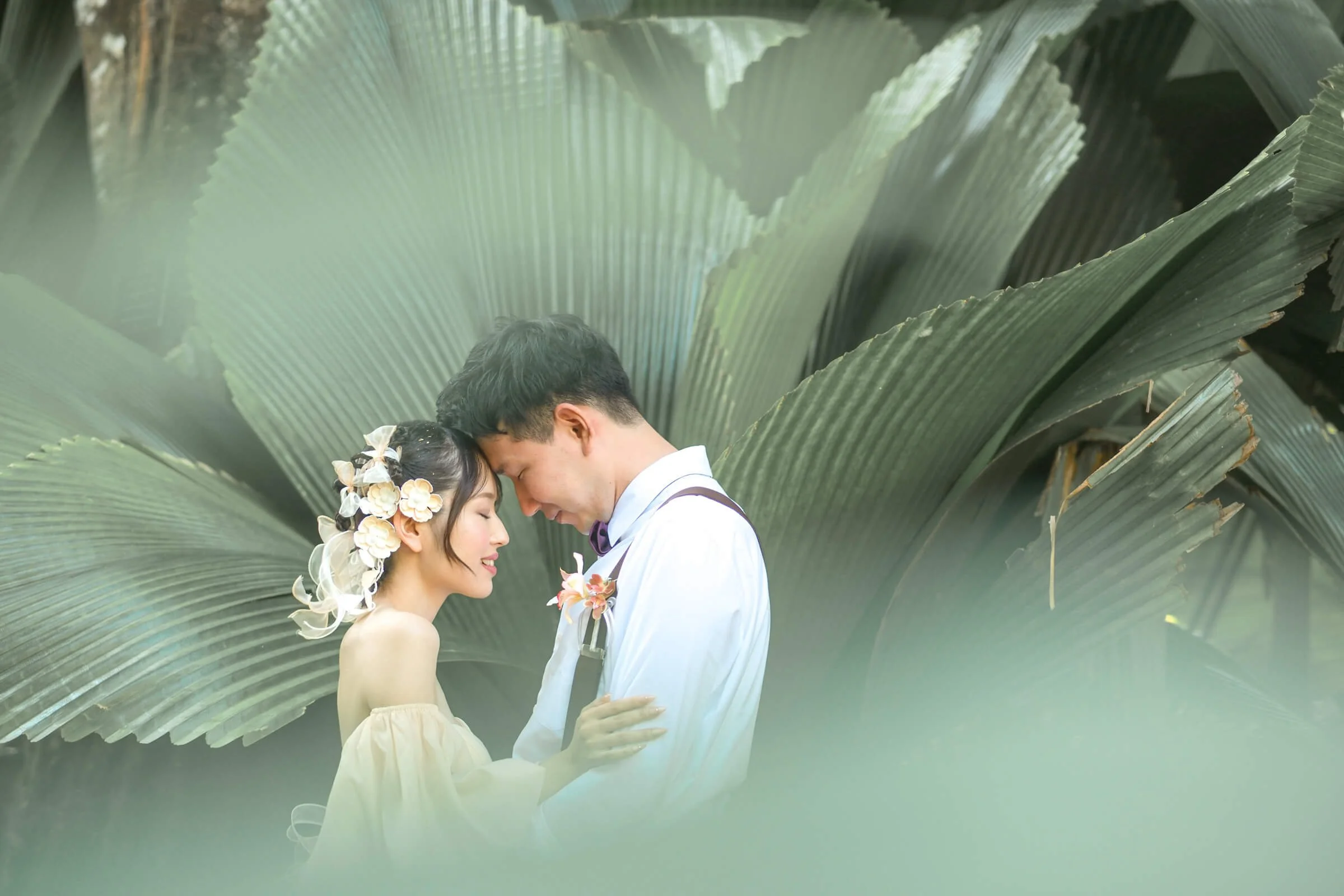 cairns-garden-wedding-photo-tropical-giant-leaves-rainforest-romantic-couple.jpg