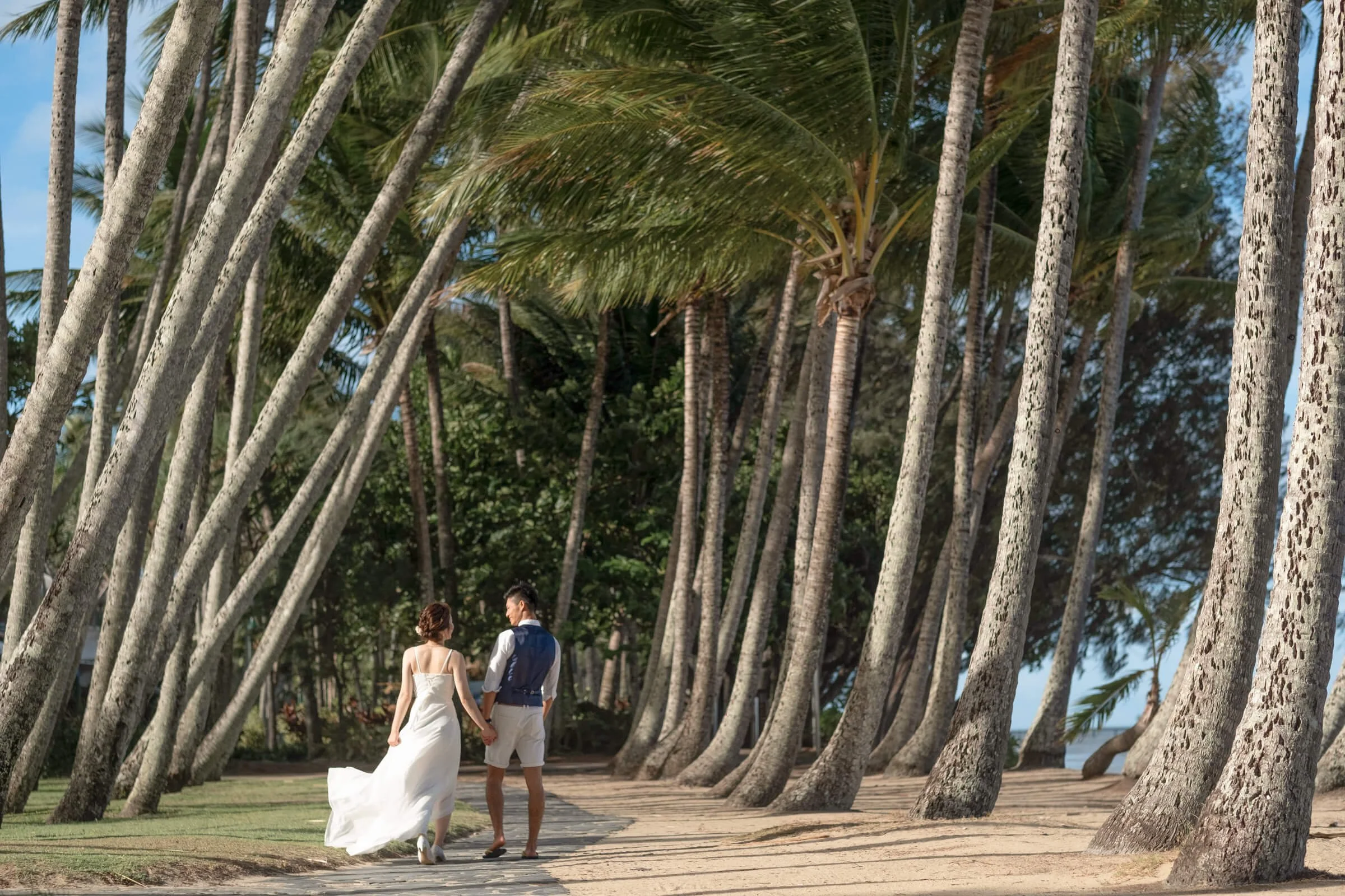 palm-cove-beach-wedding-palm-tree-path.jpg