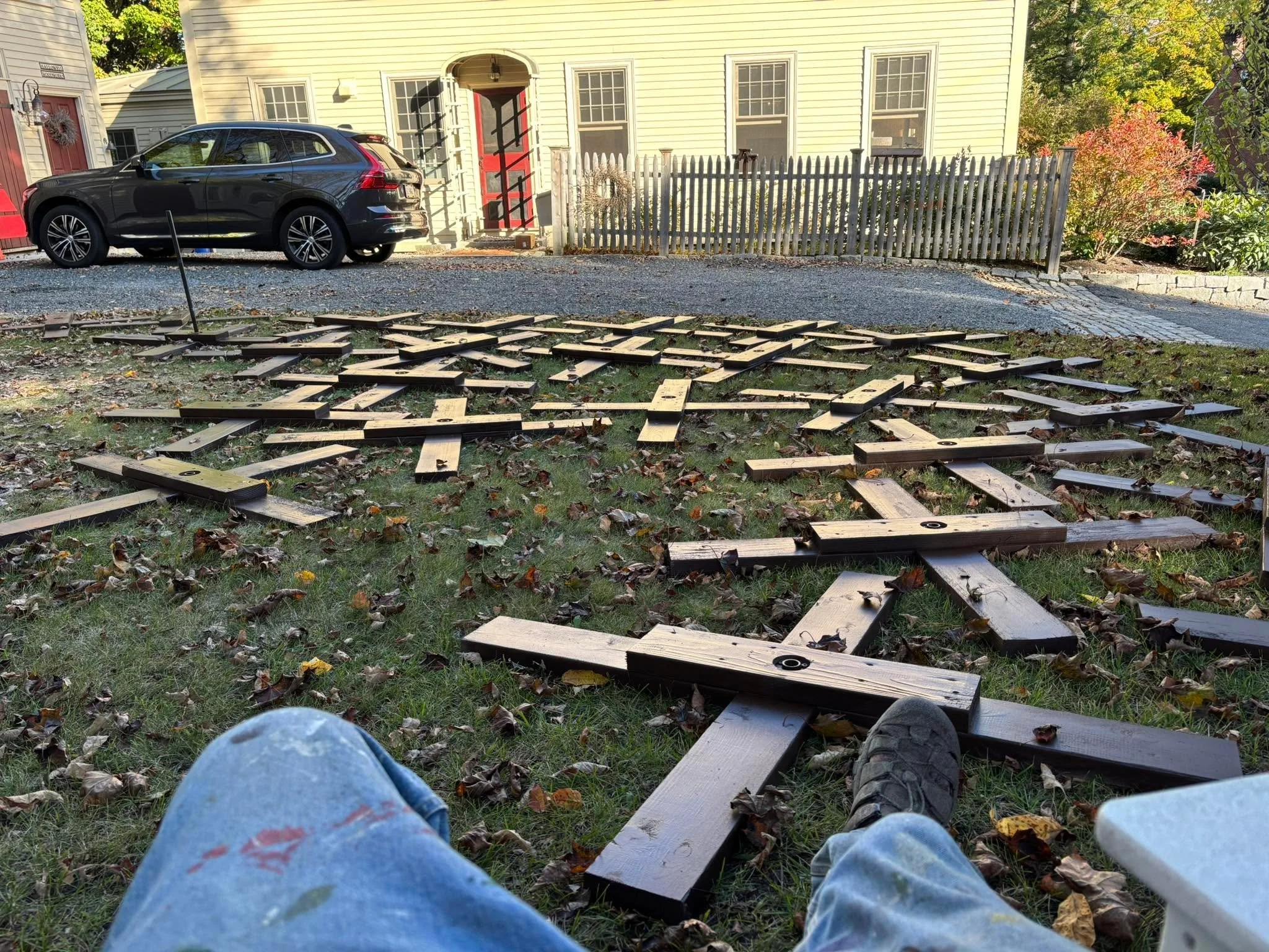 A minefield has sprung up on my lawn!