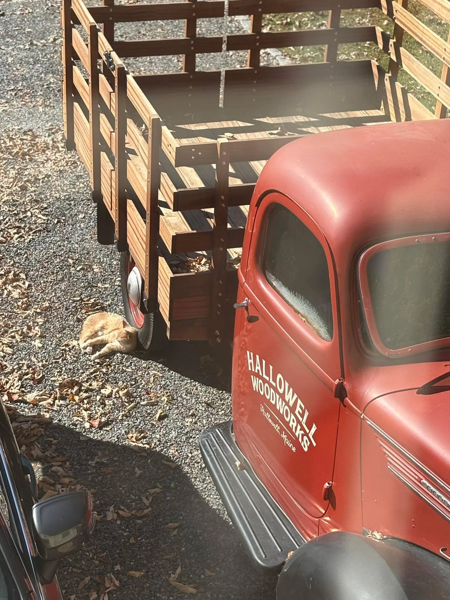 Some of us are working harder in the shop than others!