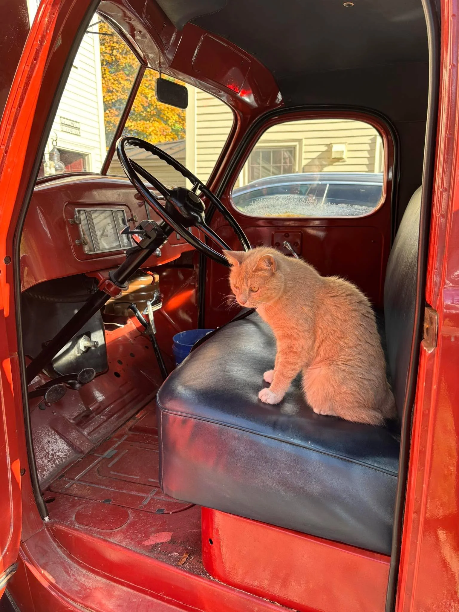 As with other businesses, due to increased seasonal business, I have had to hire additional drivers. Thanks for filling in Lilly.