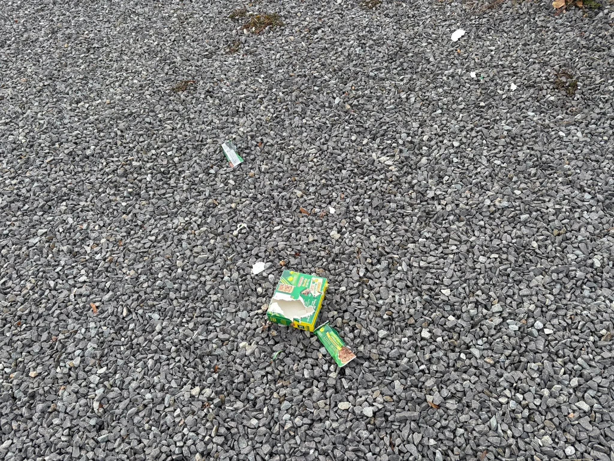 Everyday can teach each of us a valuable lesson. Fr me today, the lesson was slow down and don&rsquo;t rush to judgment.

I was as down installing the timer on the trees. Pulling into the parking lot, I saw what appeared to be trash left by the waysi