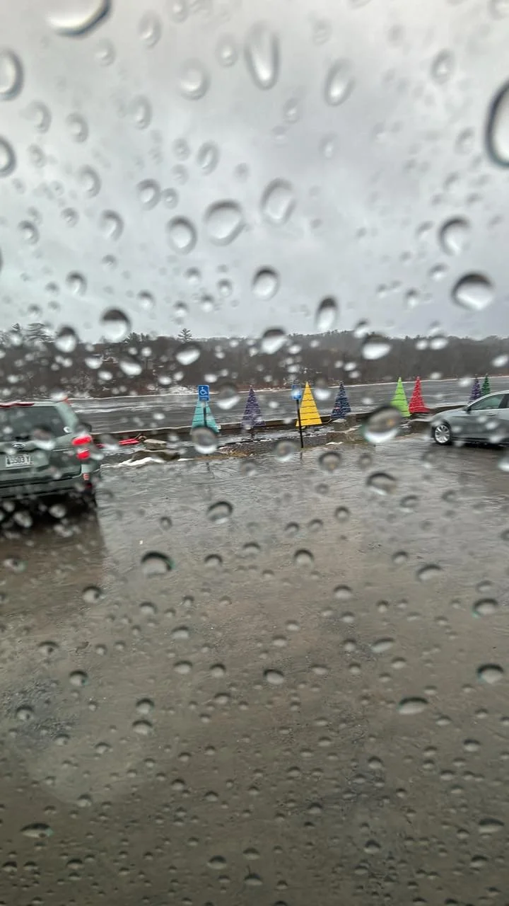 One tree down. I will fix it later today. Wind is howling!