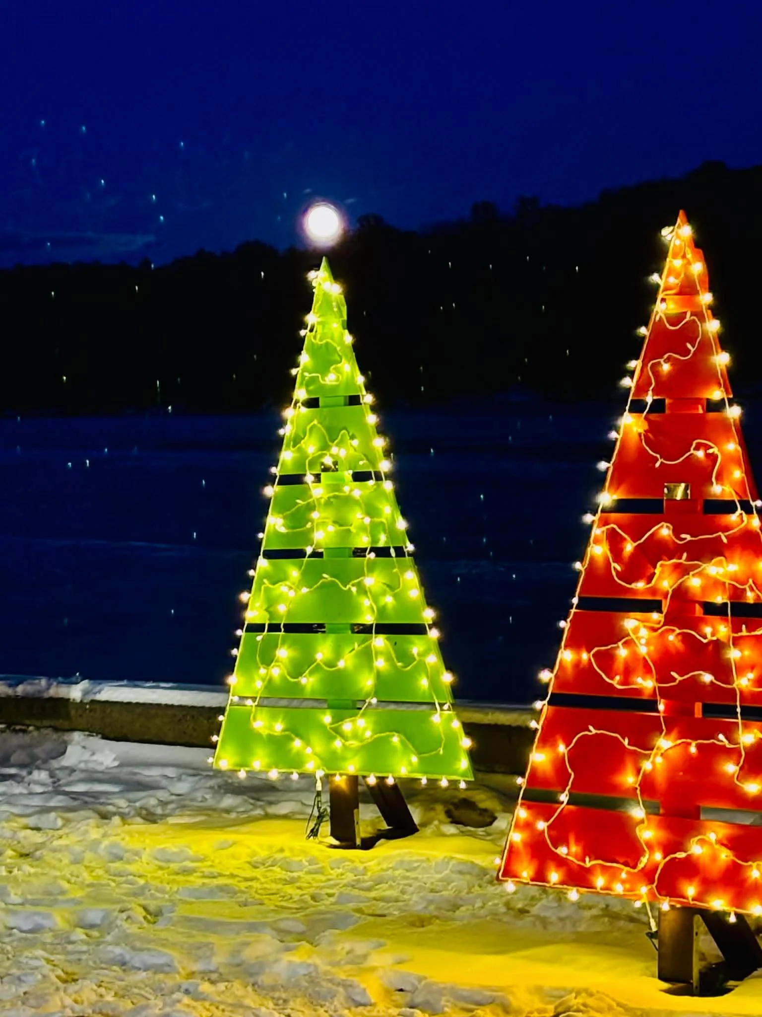 Good and not so good news!

The time is coming to put the trees away for the season and before flooding risk rises.

I originally planned on starting to do it this week. Unfortunately, visiting the big city to see Jim Gaffigan last night, I missed st