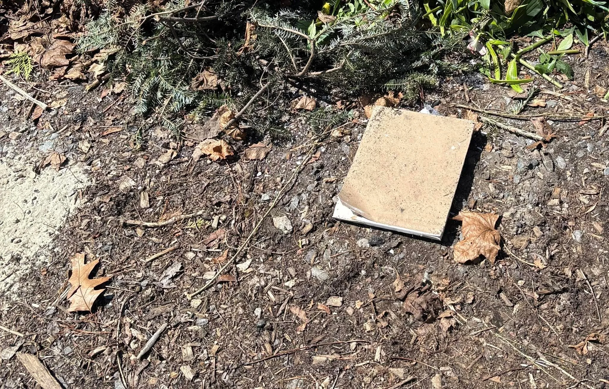 Must be that new compostable sheet rock. Keep abusing it and it will close for good!