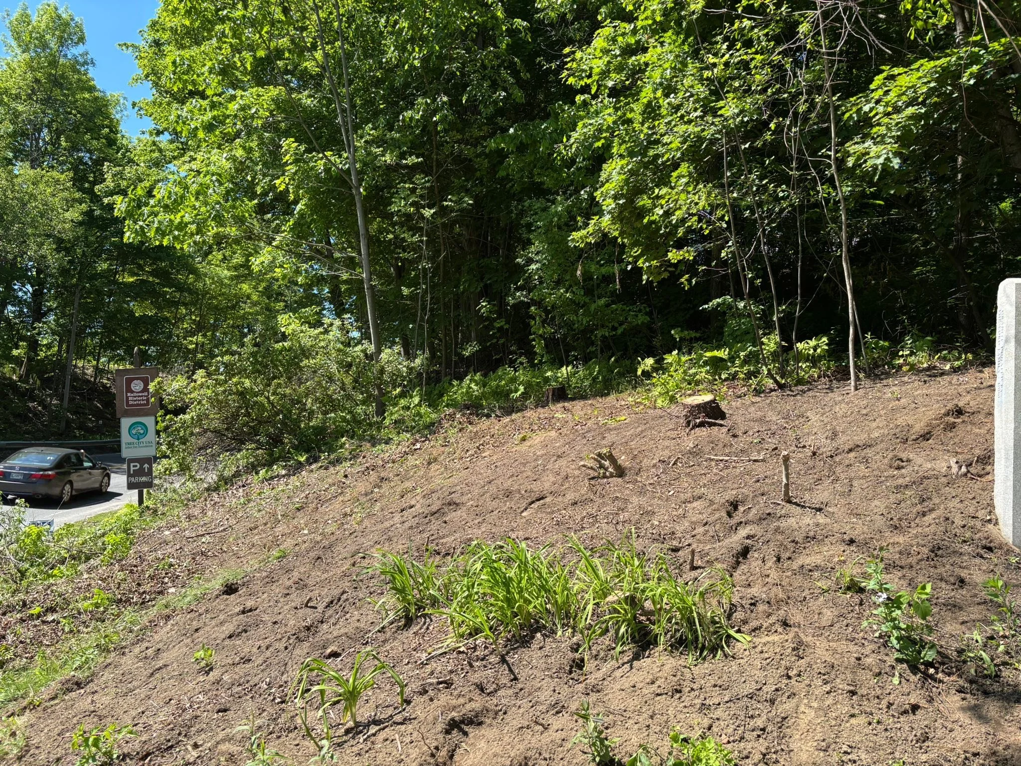 Another tiring but very productive day for the Old Codgers and Codgettes! Work continued on ridding the norther entrance of invasives. Today we had the privilege of working under the tutelage of Alan Stearns who guided us with proper plant removal. 
