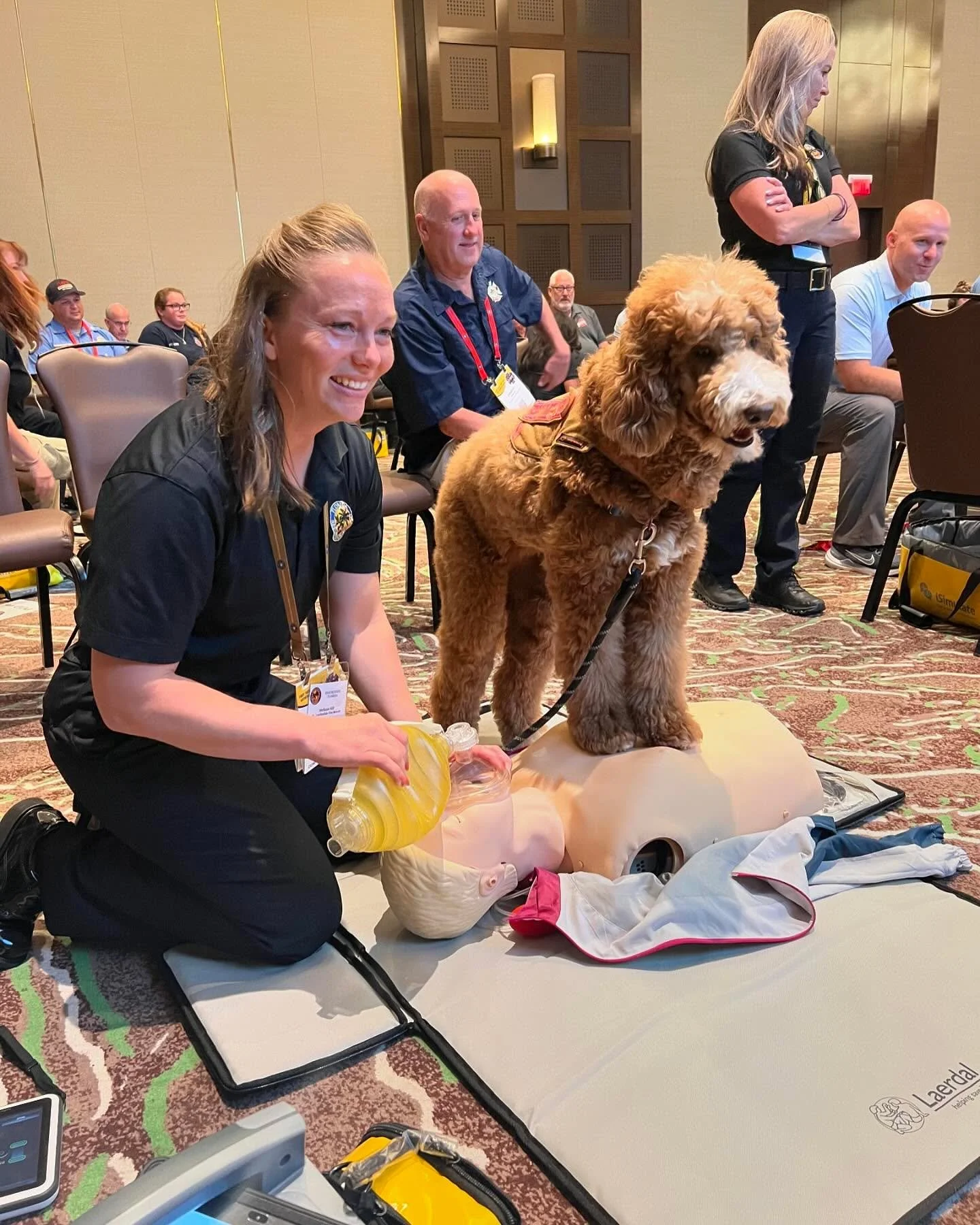 In case of emergency, send in the fur-st responders! 🐕 This sweet pup stole the show at Resuscitate Florida. Looks like we’ve got a real life-saver on our paws! 🐾 
#cpr #resuscitation #dogsofinstagram