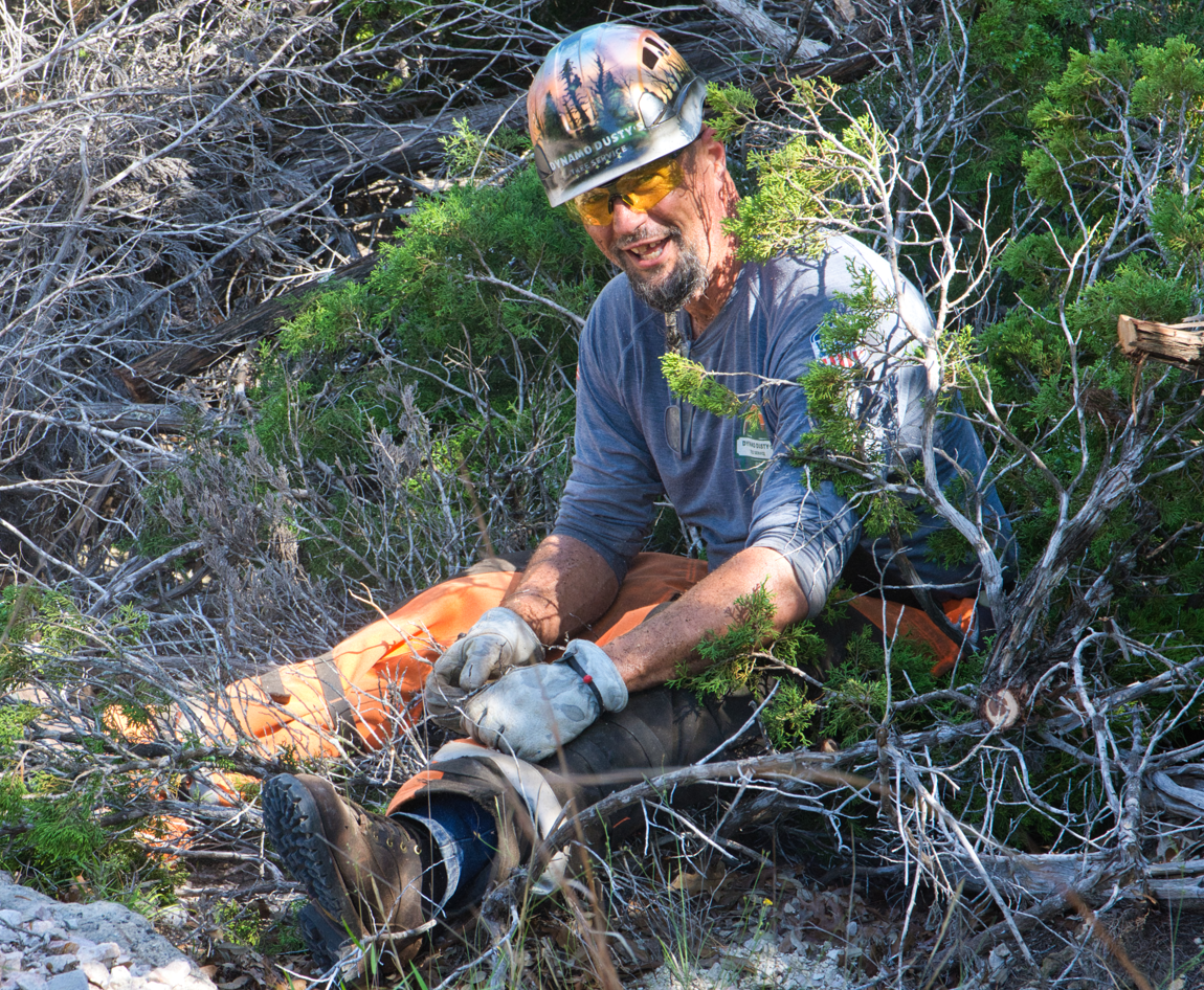Dynamo Dusty’s Tree Service (aka Land Healers aka Miracle Workers) 