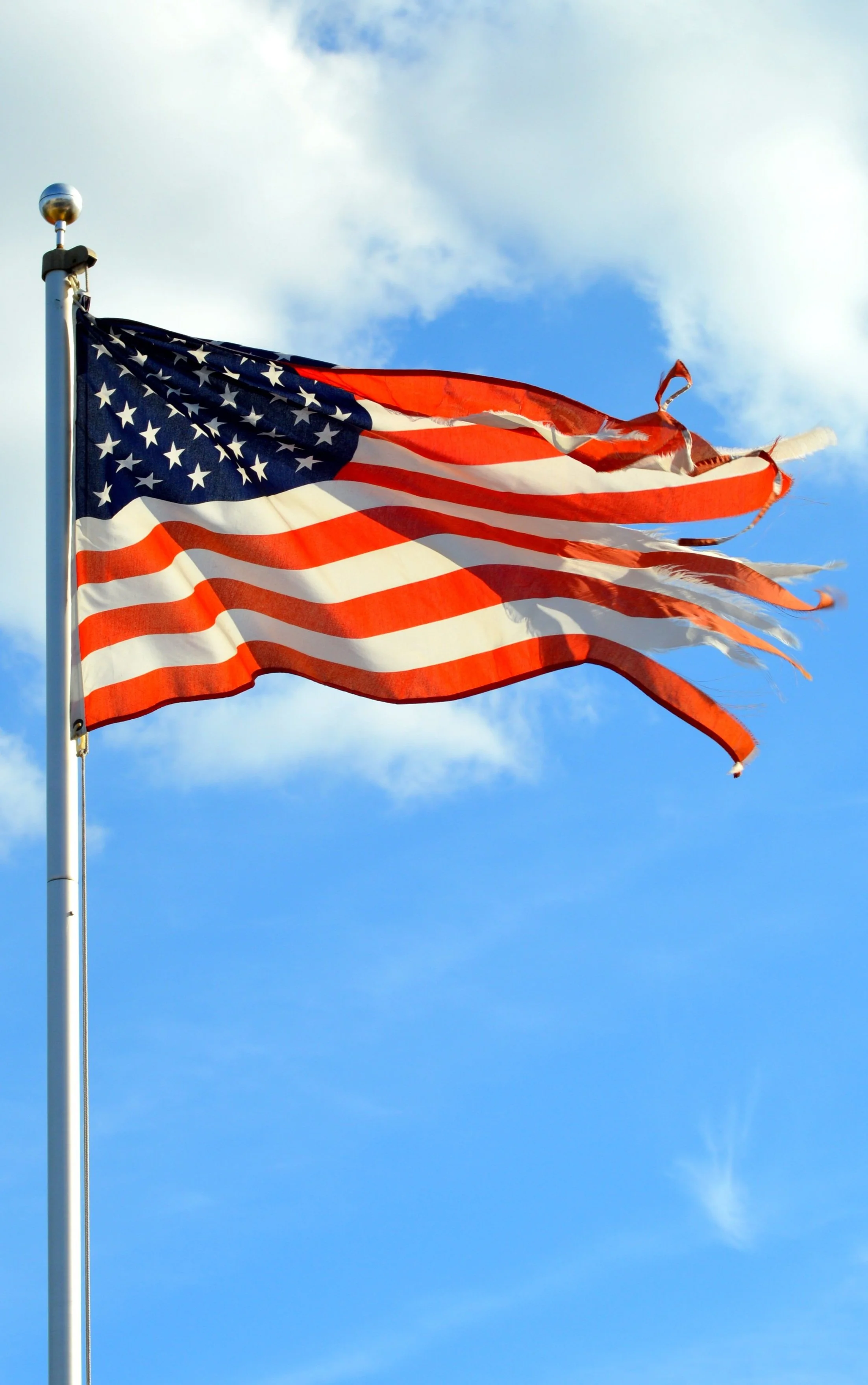 The Flag.jpg