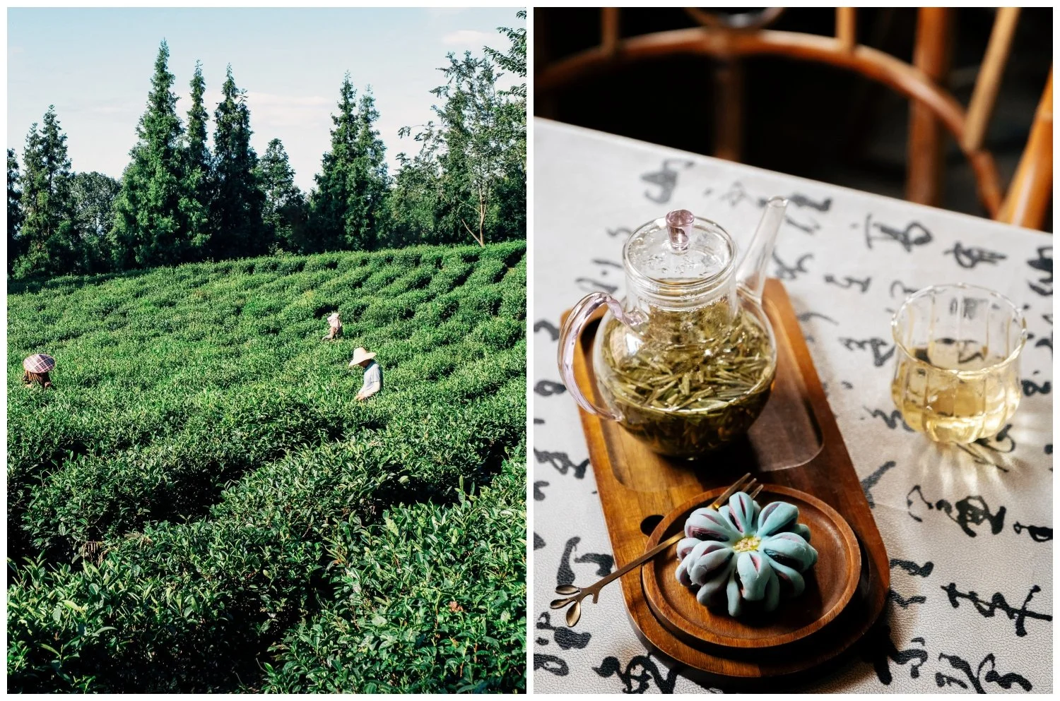 Sichuan Beyond Chengdu: Tea, River Fish &amp; Mountain Flavours