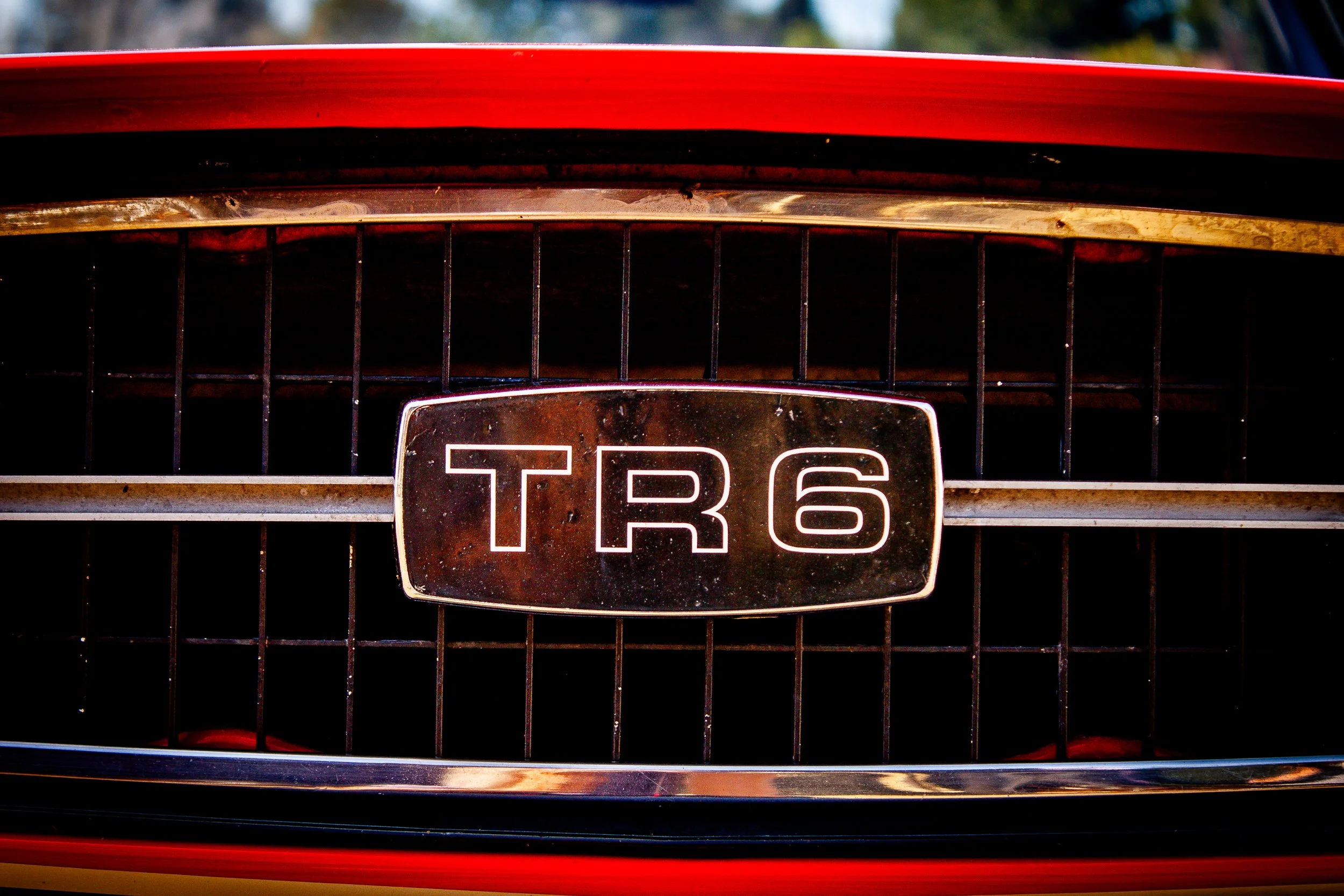 TedTR6-13.jpg