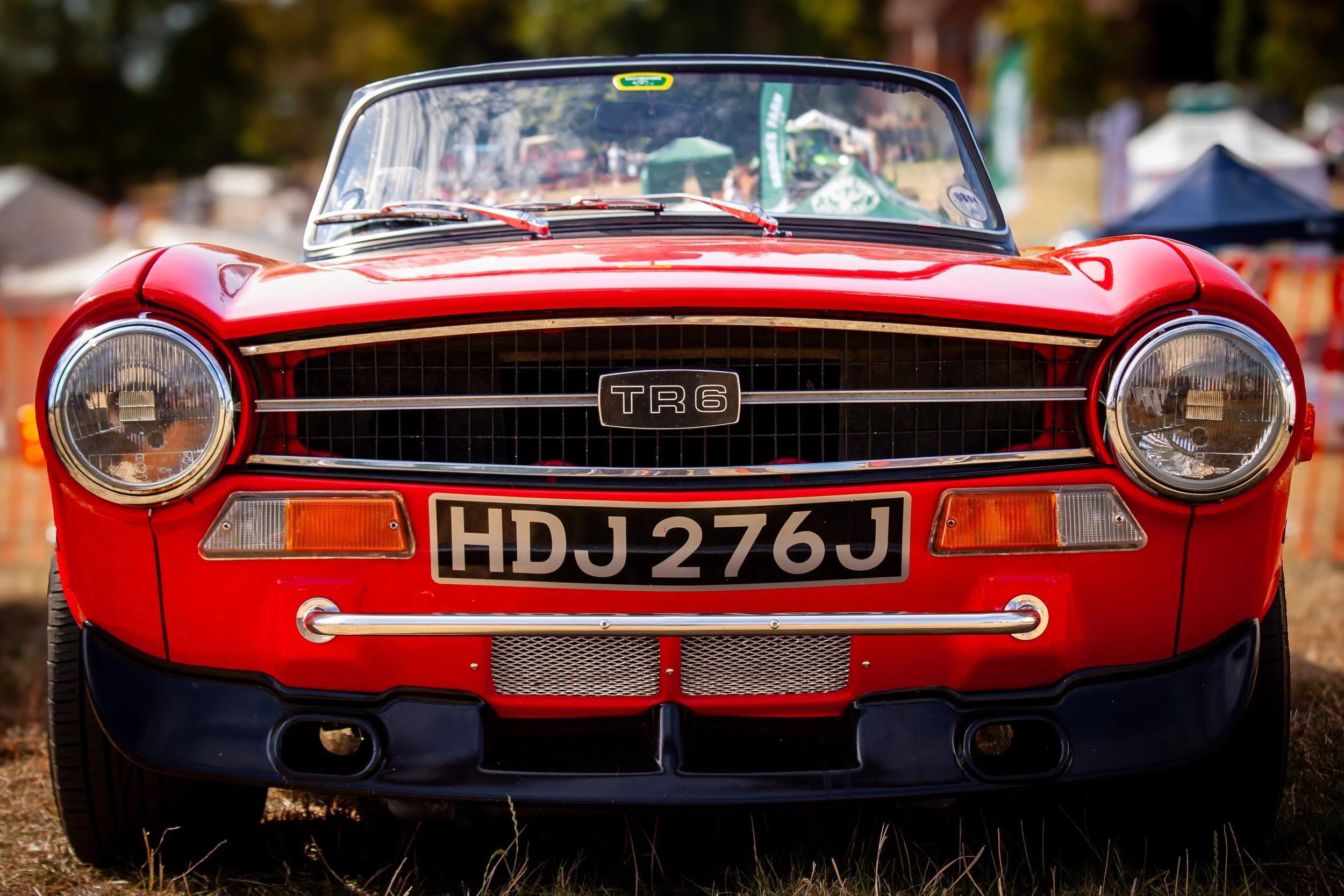 TedTR6-12.jpg