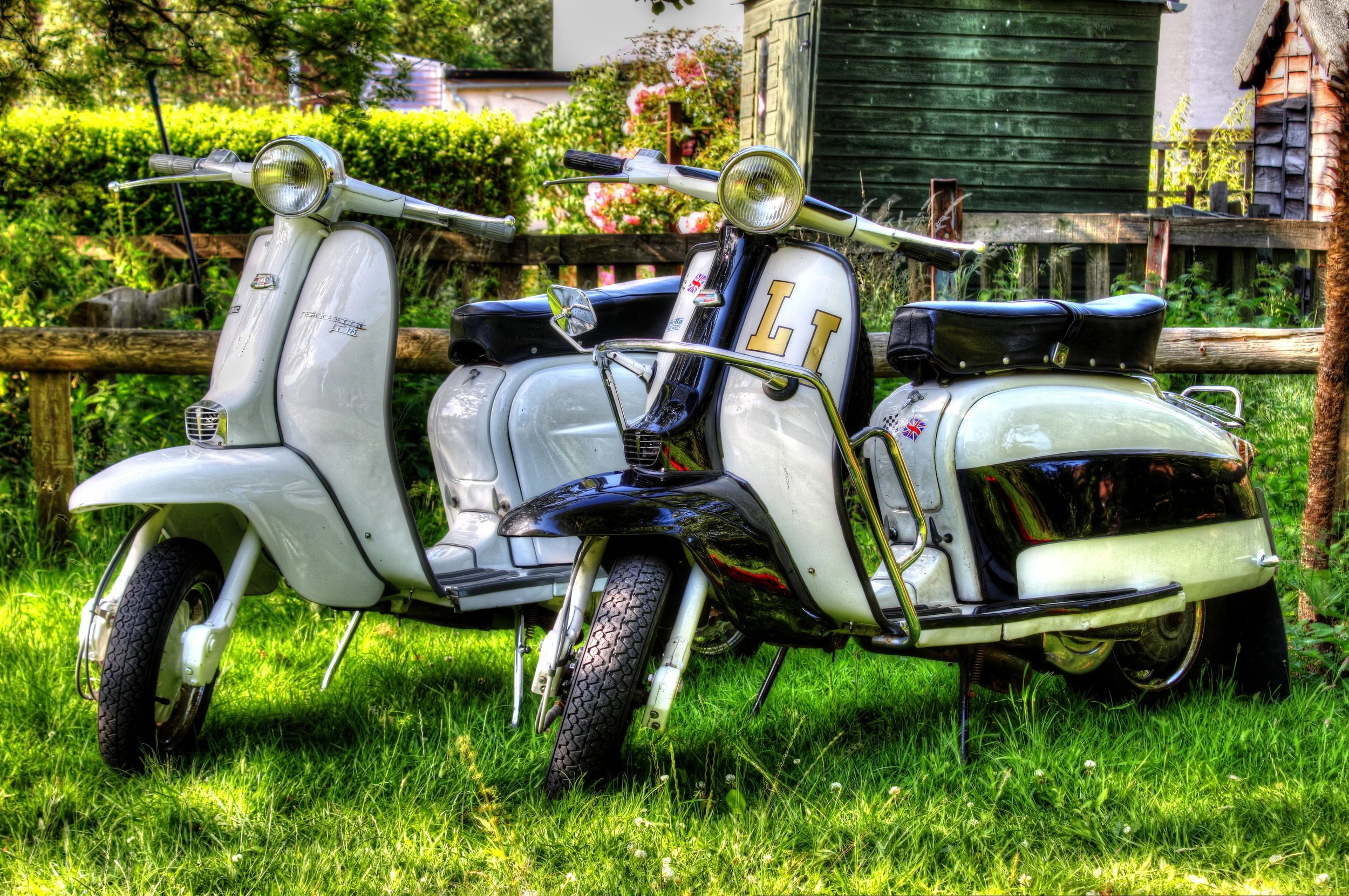 Two vintage scooters parked on a grassy lawn, with one white and the other a cream color with black accents, surrounded by a garden and a wooden fence.