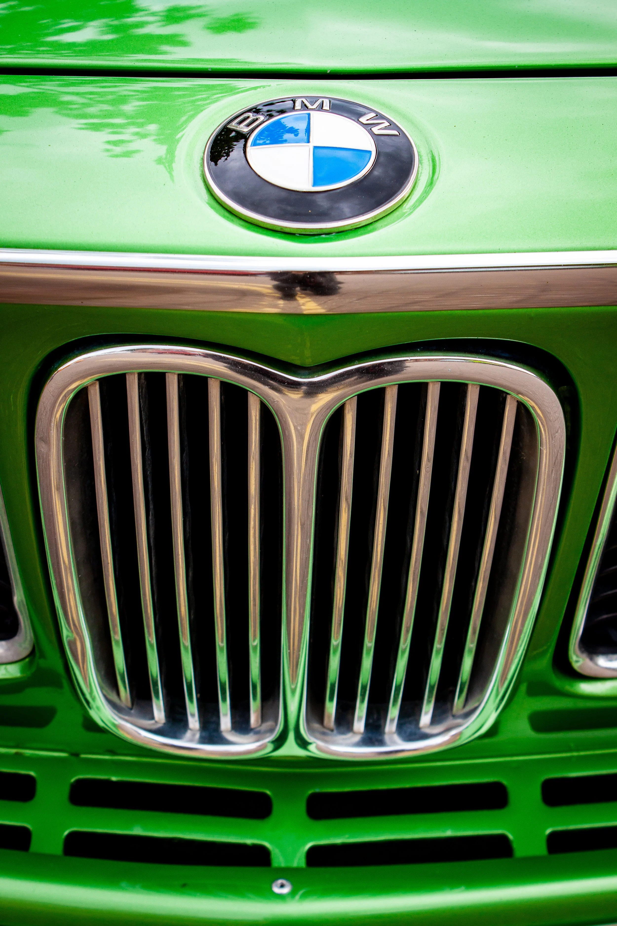 Close-up of the front of a green BMW car featuring its iconic kidney grille and BMW badge.